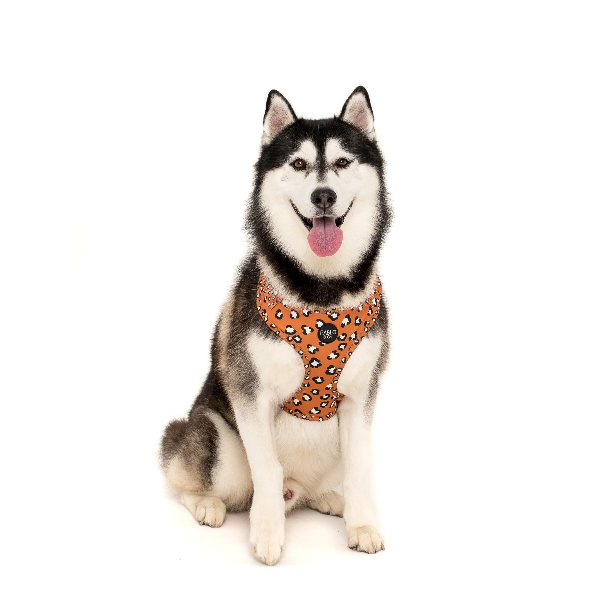 That Leopard Print: Adjustable Harness - Image 6