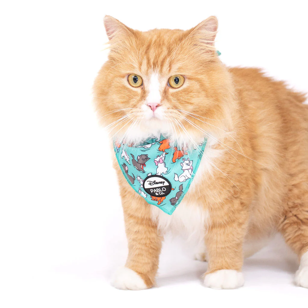 The Aristocats: Cat Bandana - Image 3