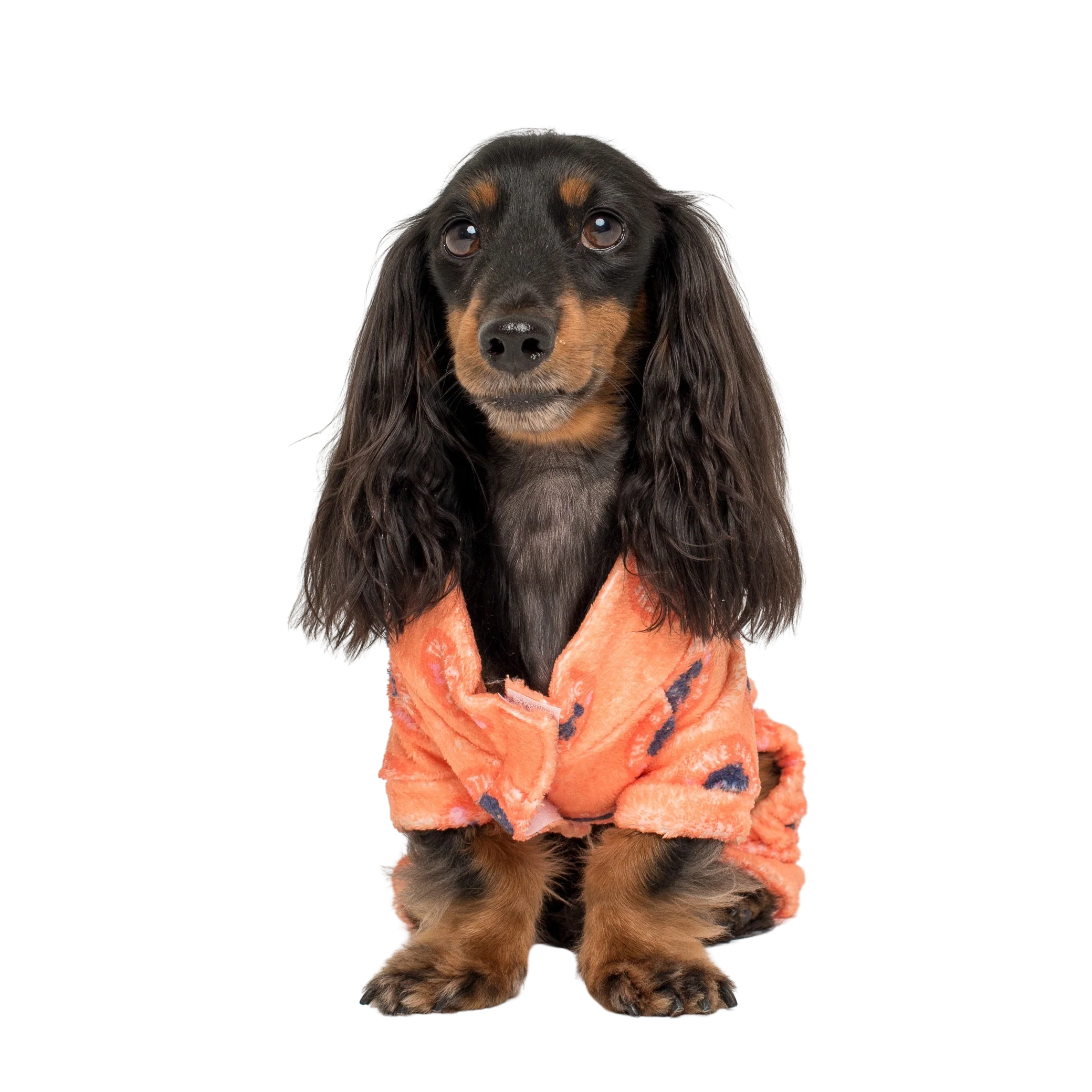 The Bark Club: Onesie