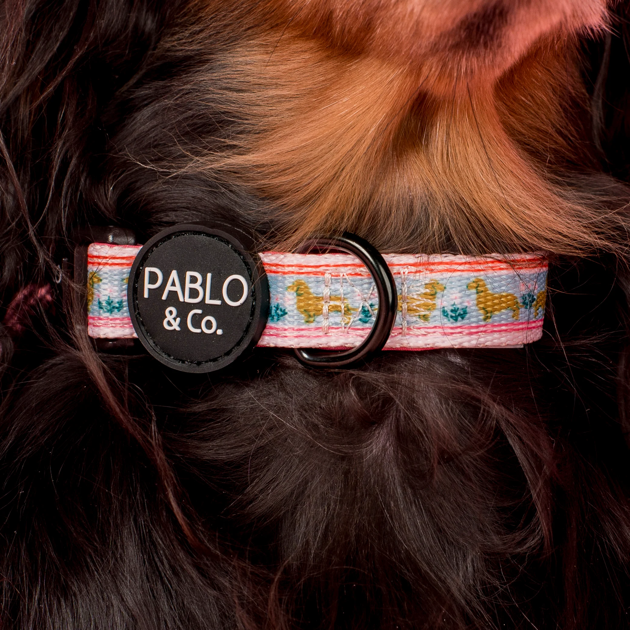 The Blooming Dachshund: Collar - Image 2