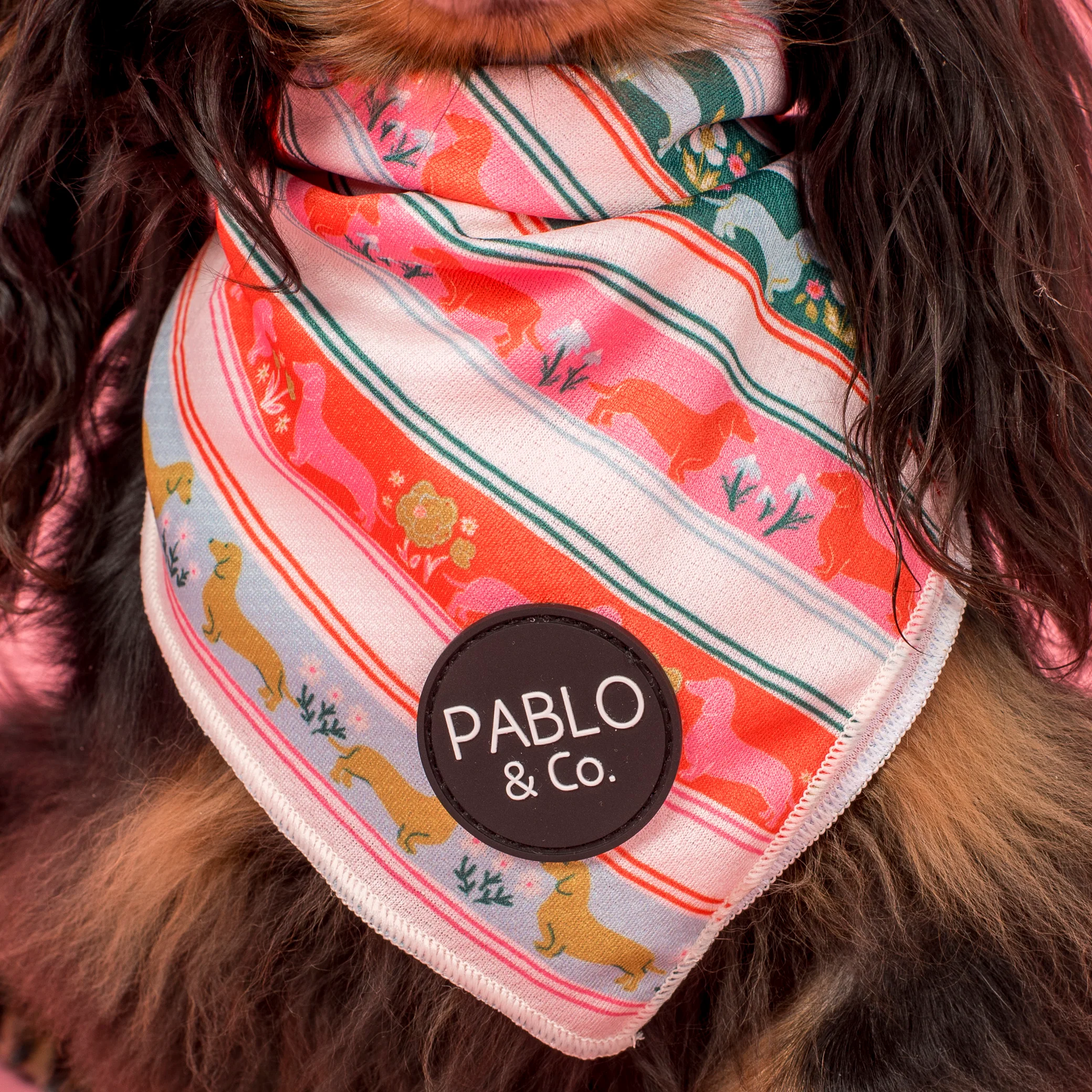 The Blooming Dachshund: Dog Bandana - Image 2