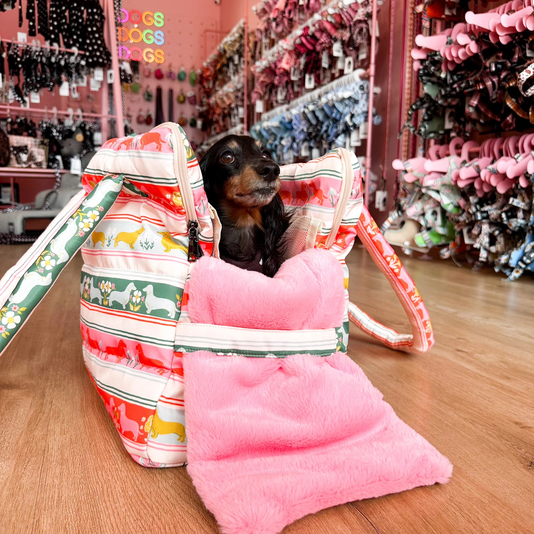 The Blooming Dachshund: Travel Bag - Image 5