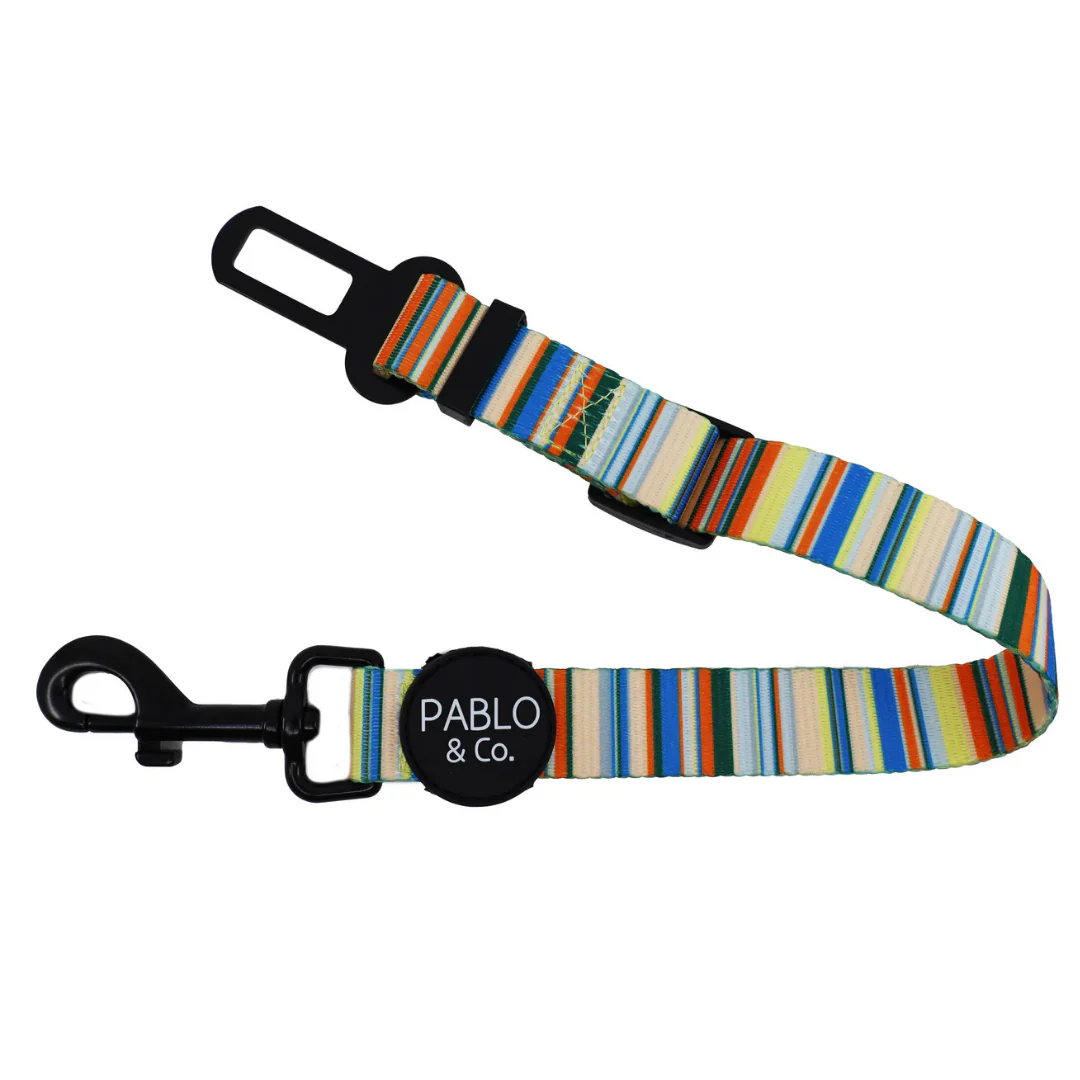 The Cabana: Adjustable Car Restraint