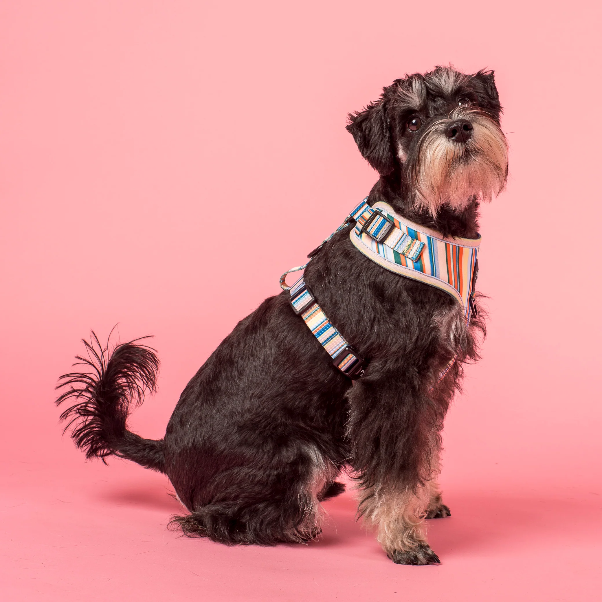 The Cabana: Adjustable Harness - Image 2