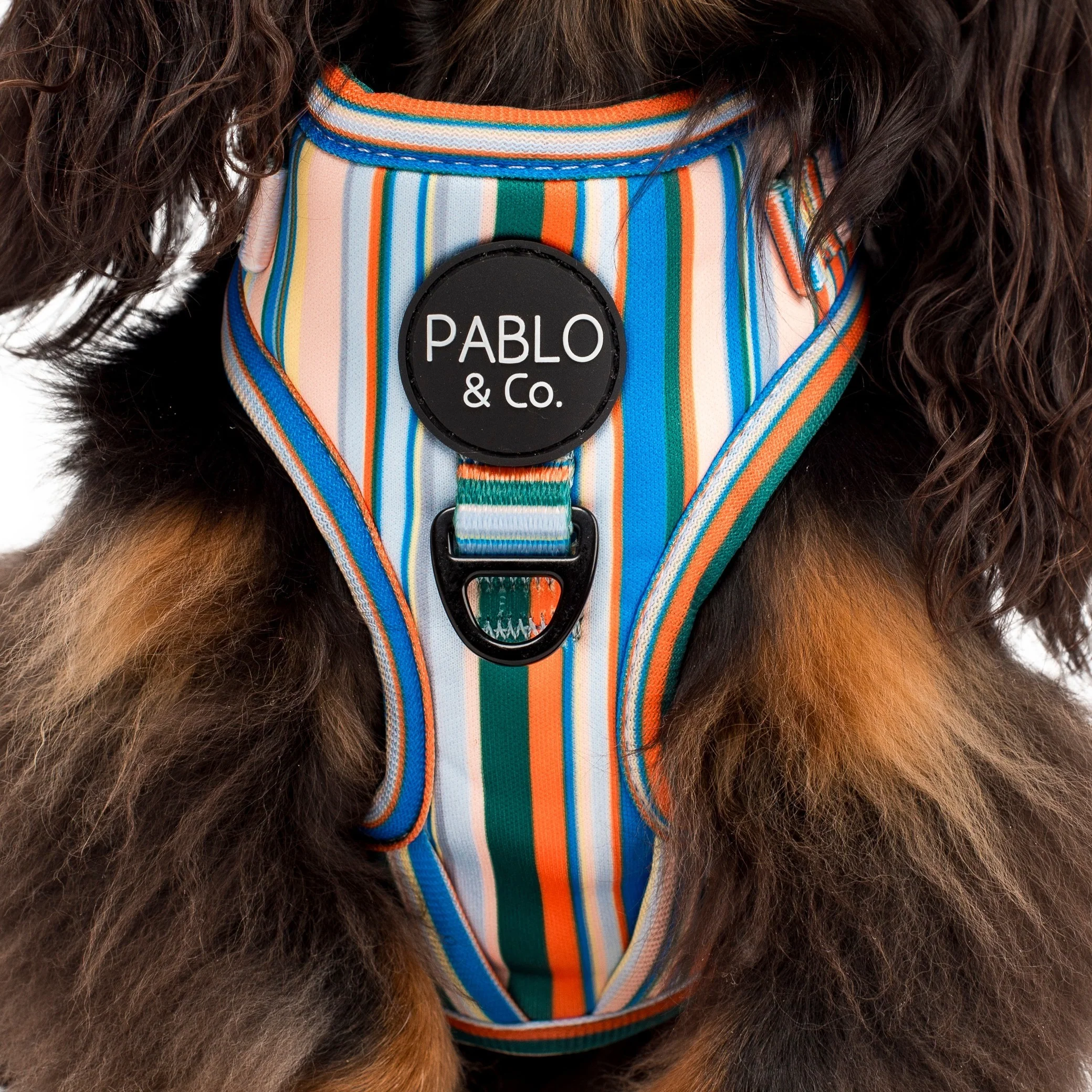 The Cabana: Adjustable Harness - Image 4
