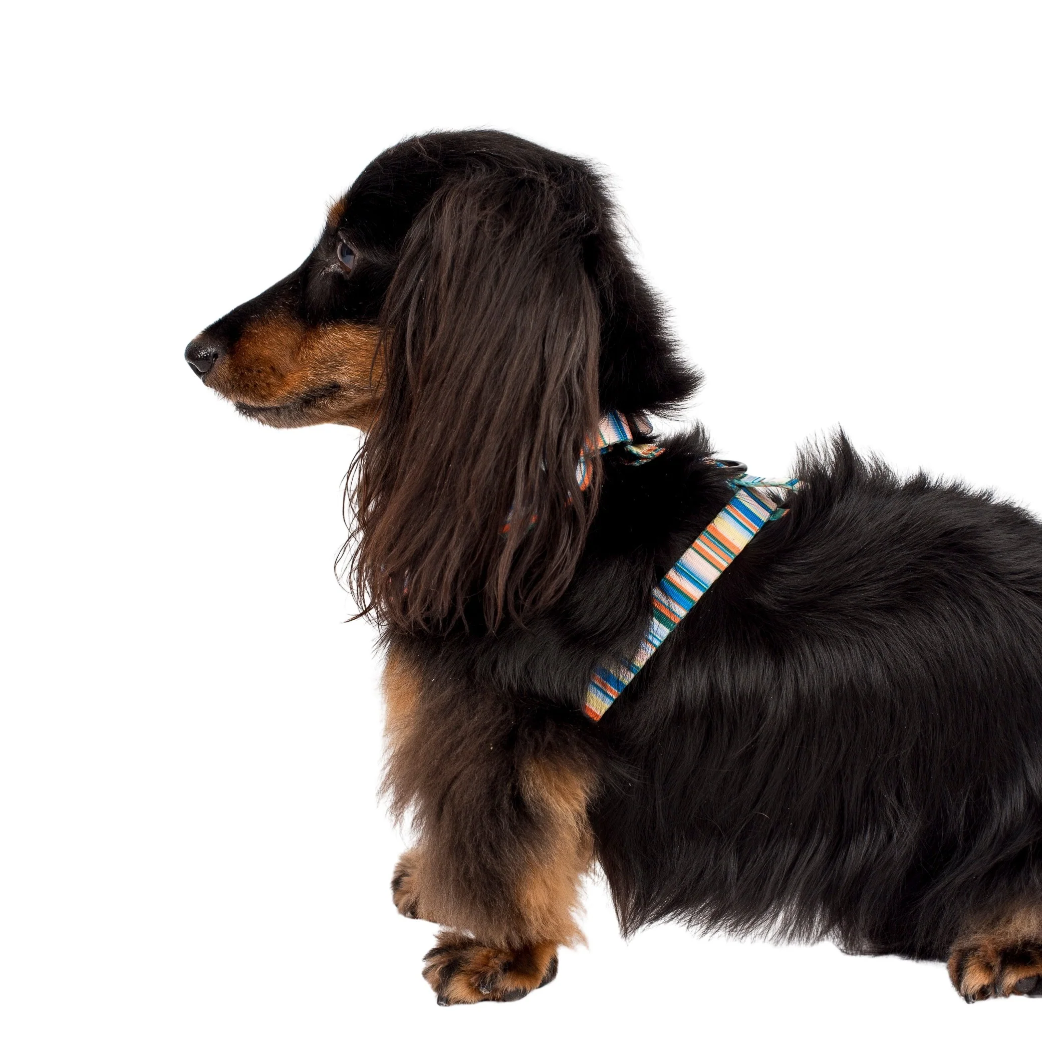 The Cabana: Adjustable Harness - Image 5