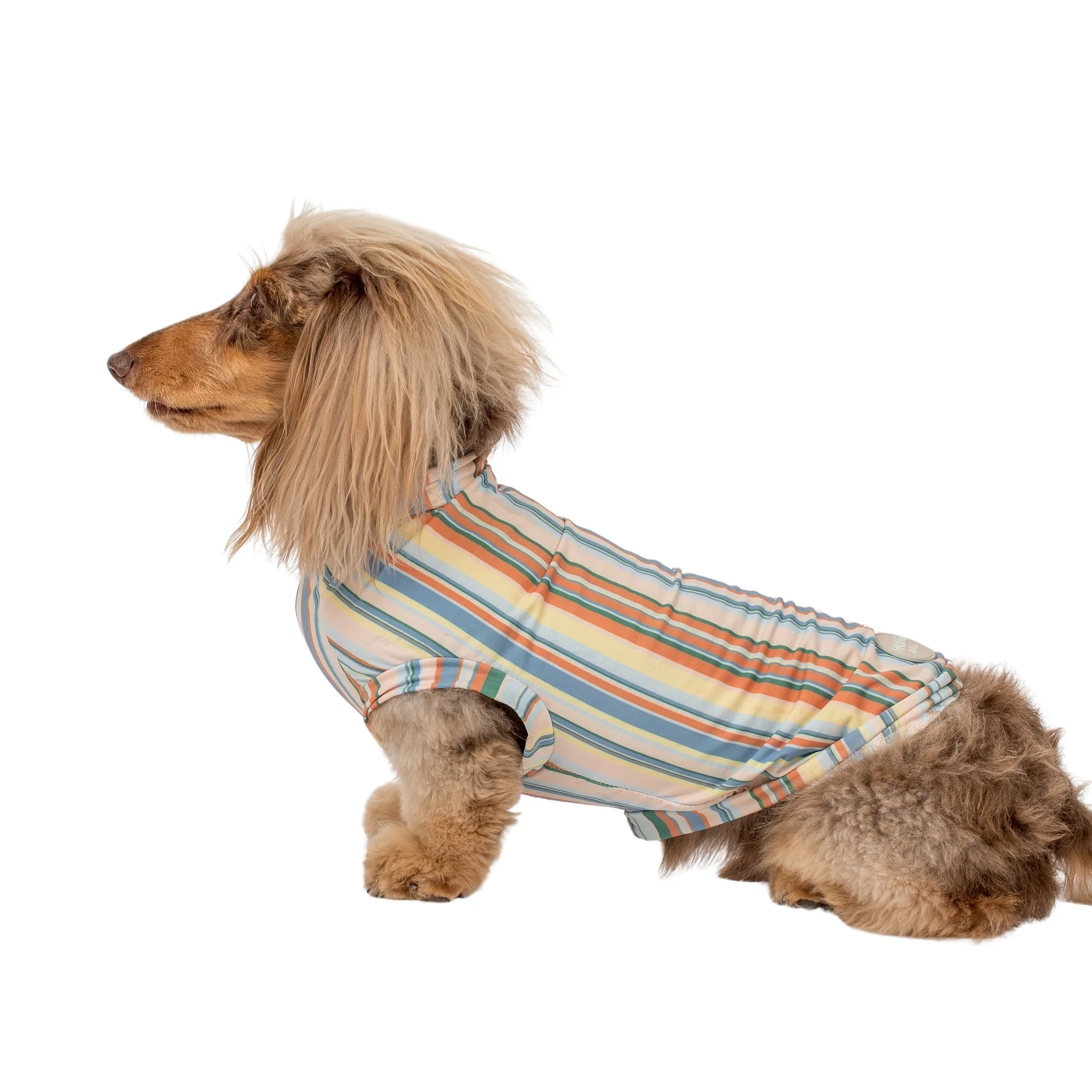 The Cabana: Cooling Dog Rashie - Image 4
