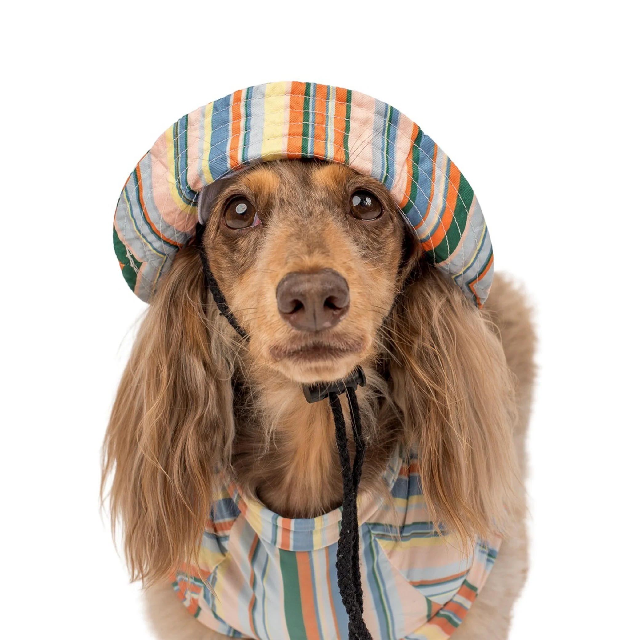 The Cabana: Cooling Dog Rashie - Image 6