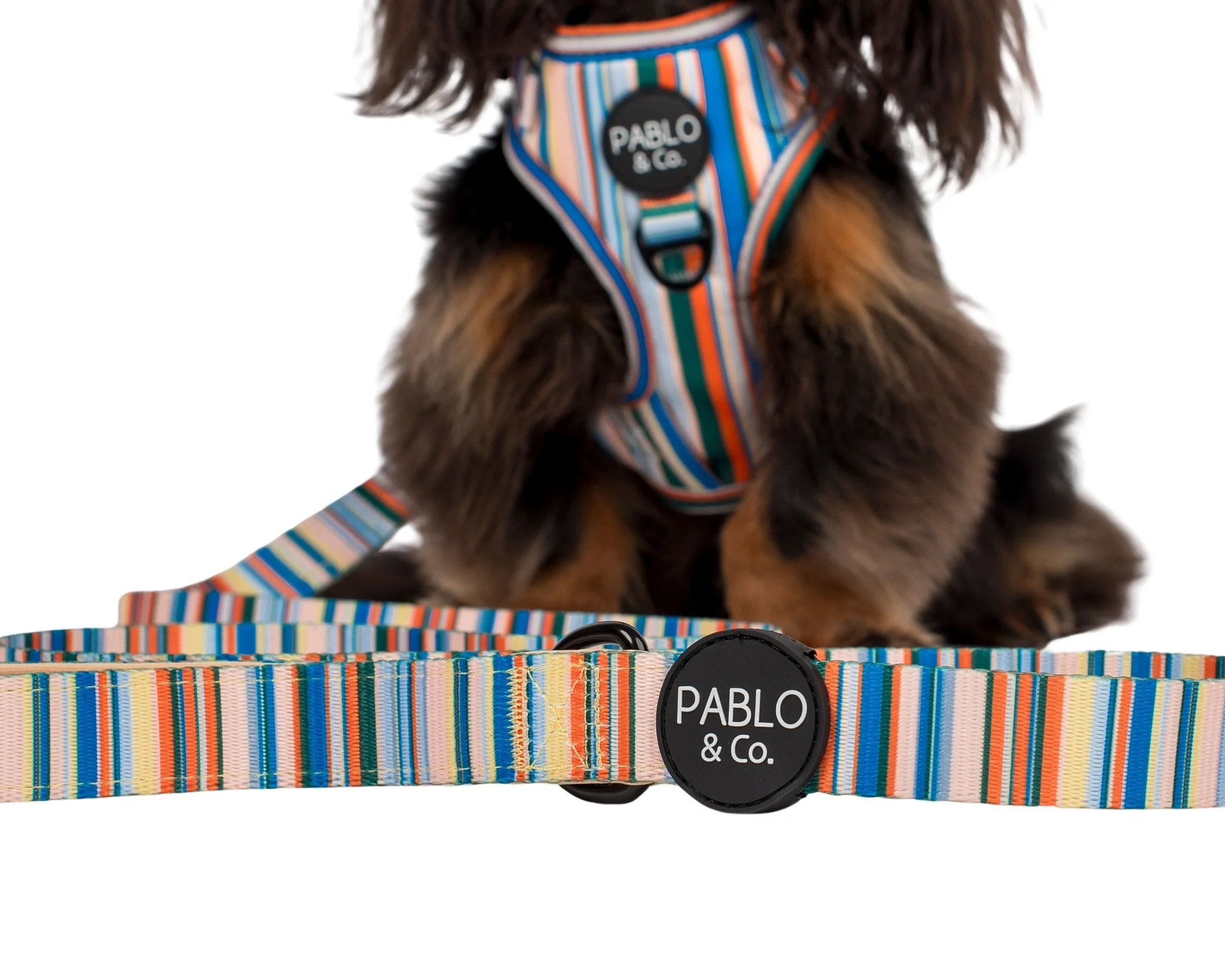 The Cabana: Dog Leash - Image 2