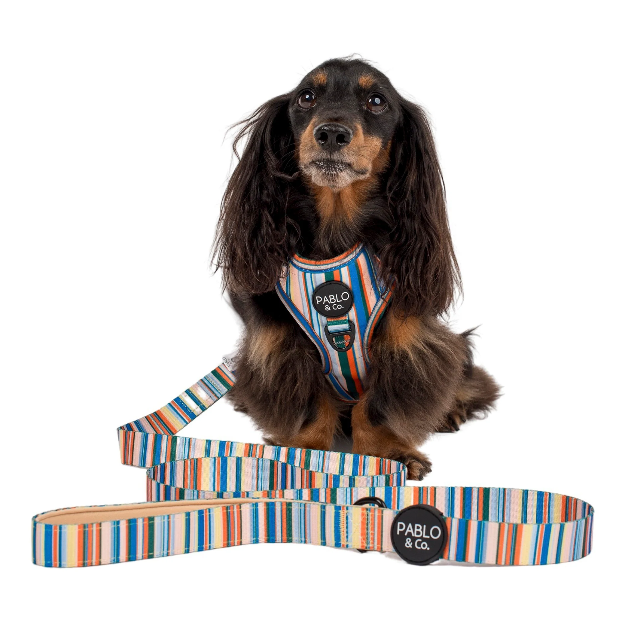 The Cabana: Dog Leash - Image 3