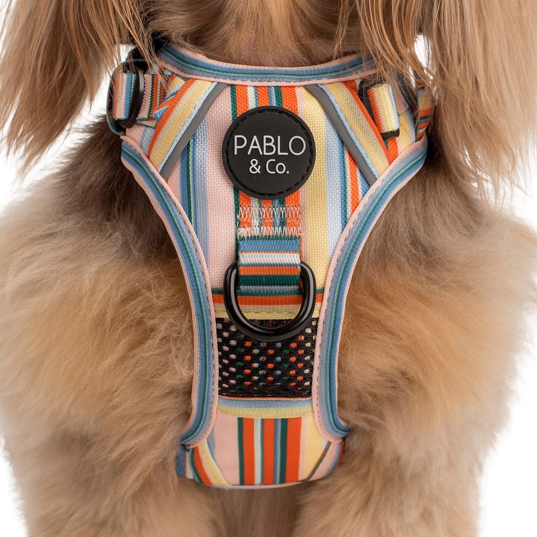 The Cabana: No Pull Adventure Harness - Image 2