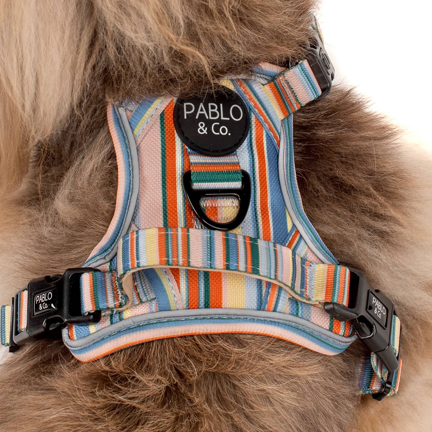 The Cabana: No Pull Adventure Harness - Image 3