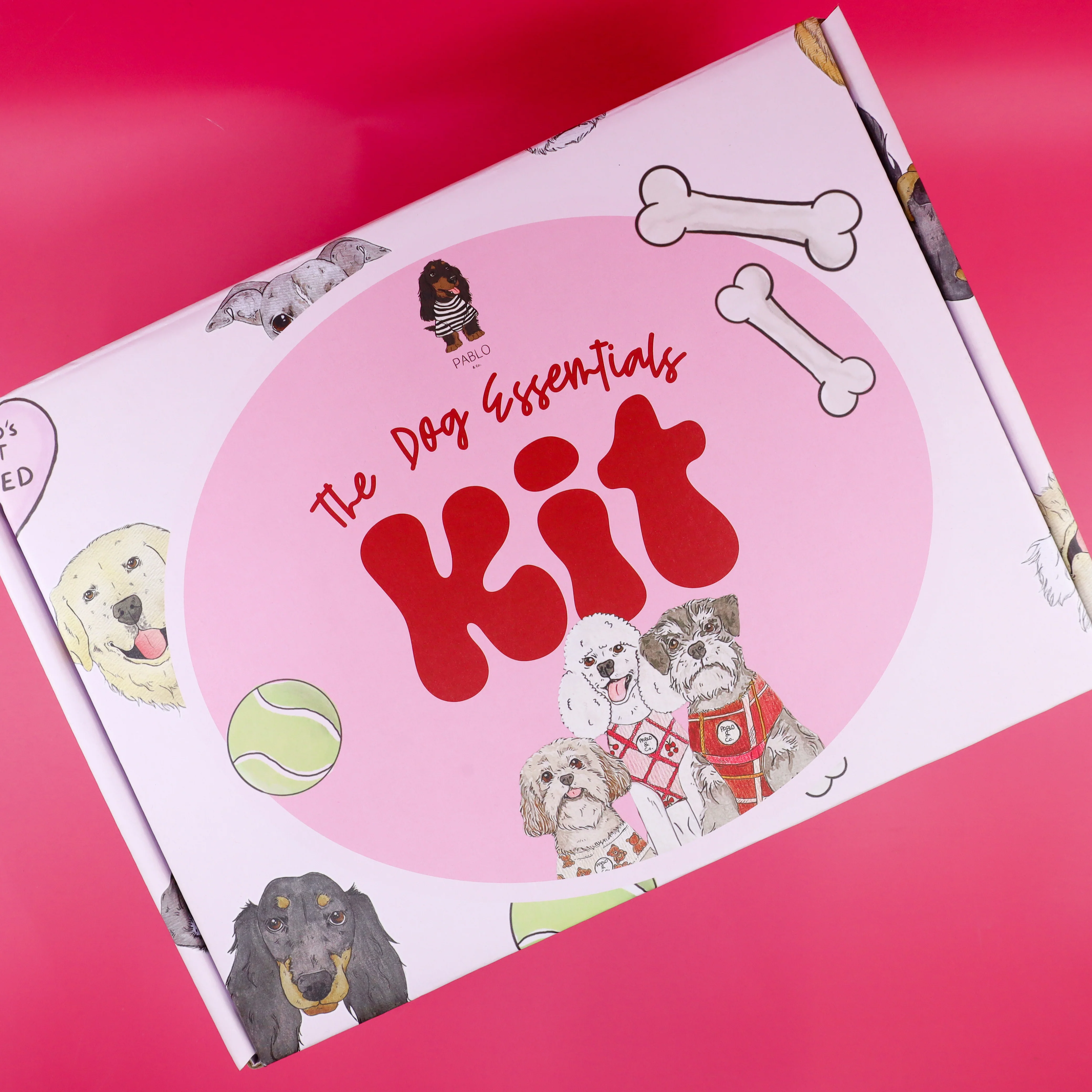 The Dog Essentials Kit - Image 3