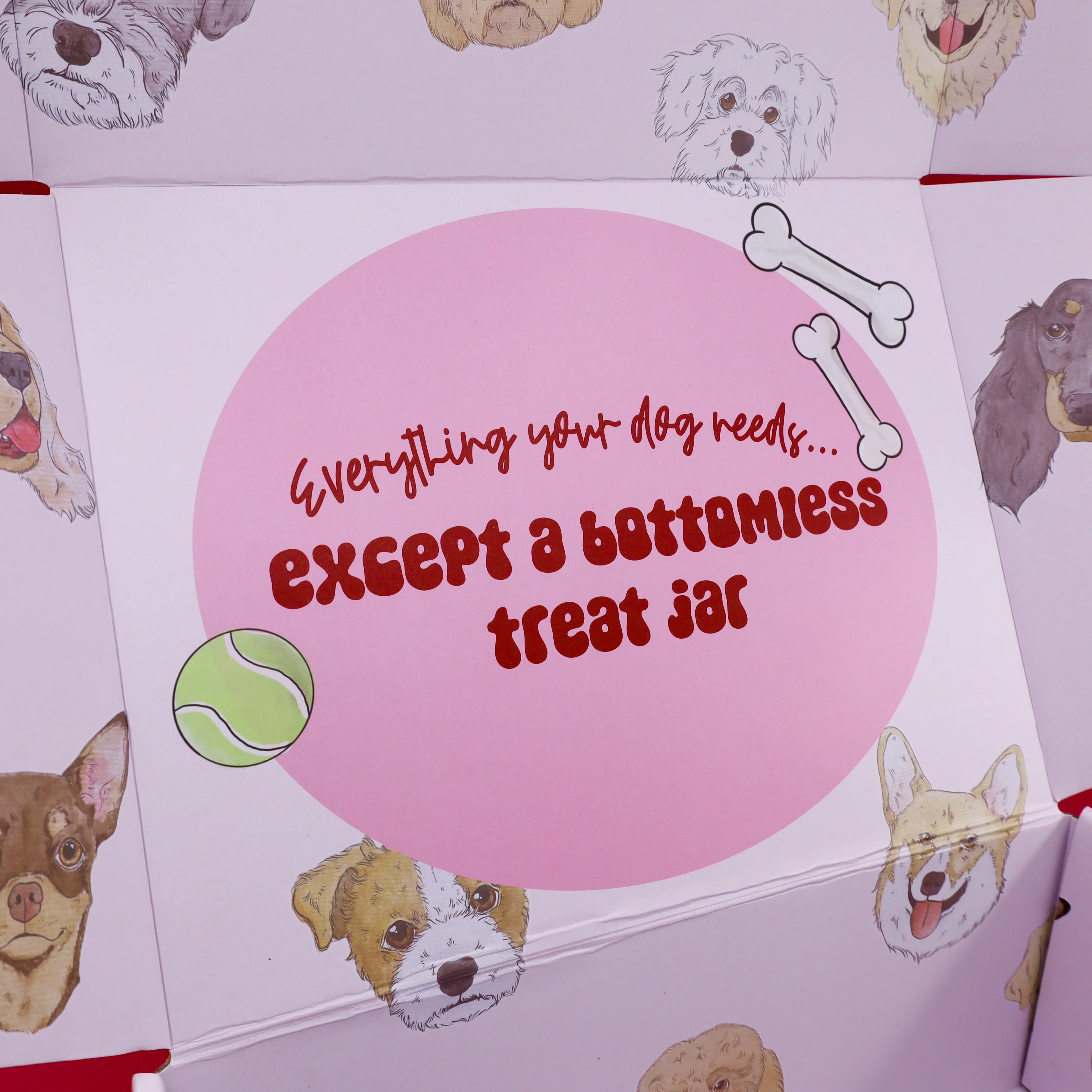 The Dog Essentials Kit - Image 4