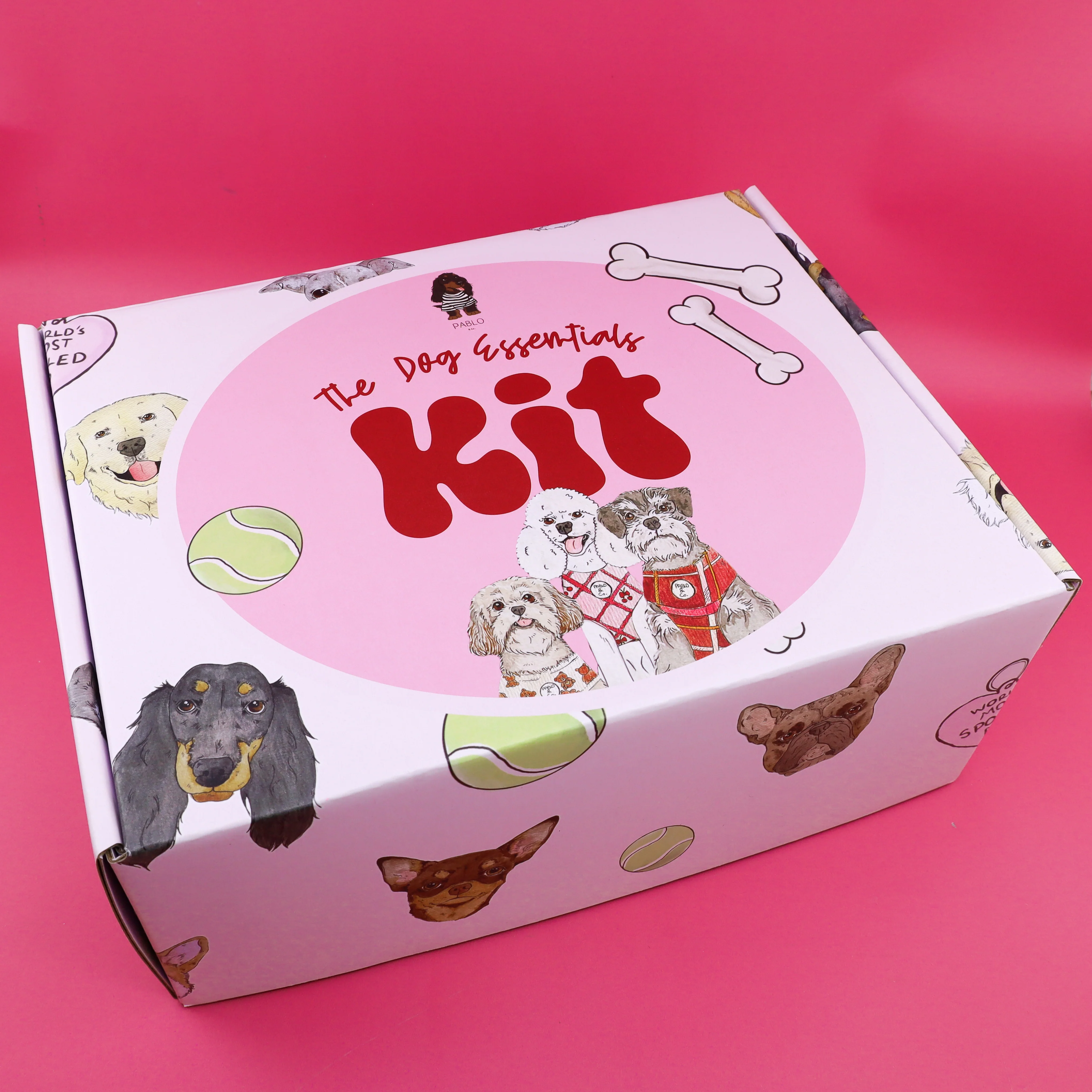 The Dog Essentials Kit - Image 5