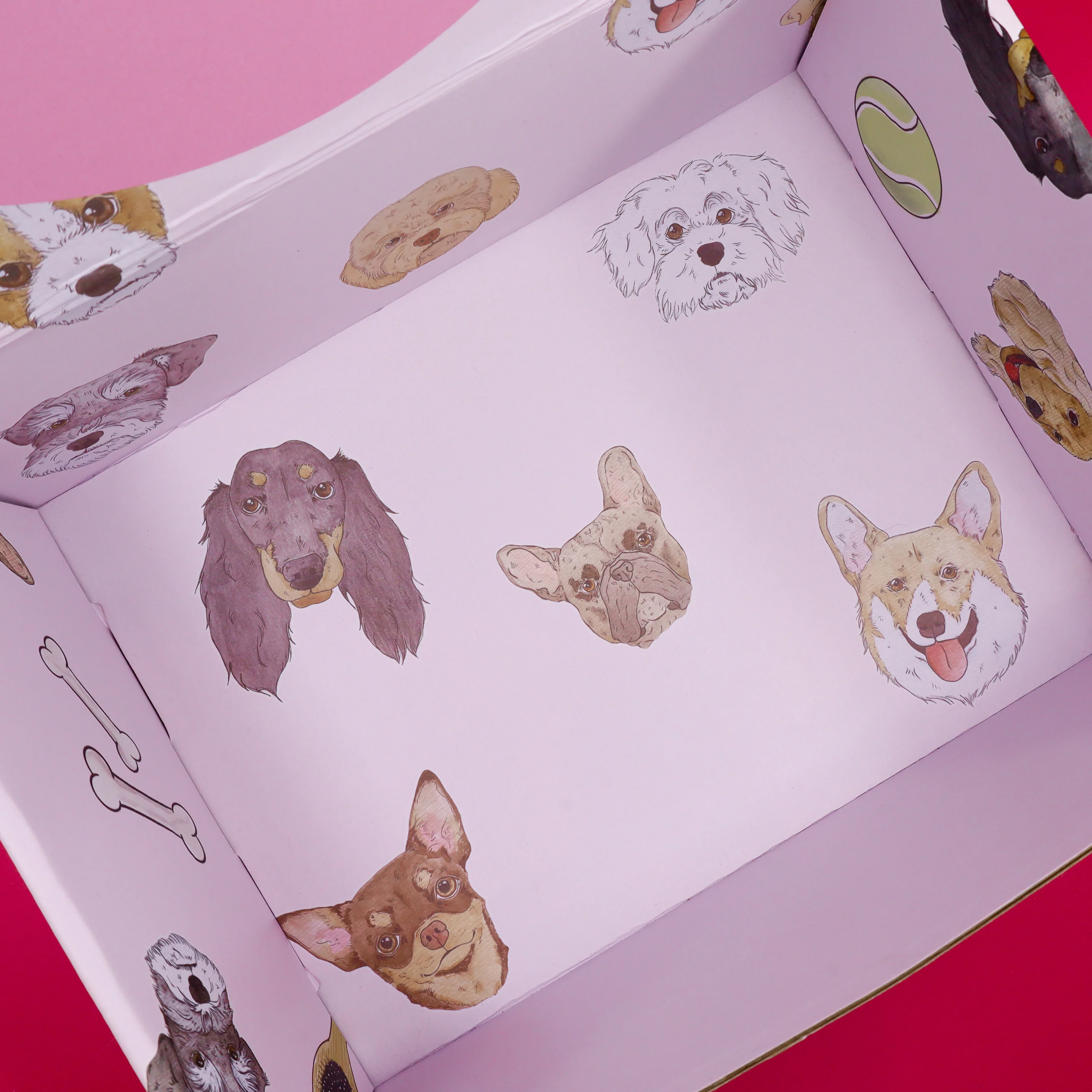The Dog Essentials Kit - Image 6
