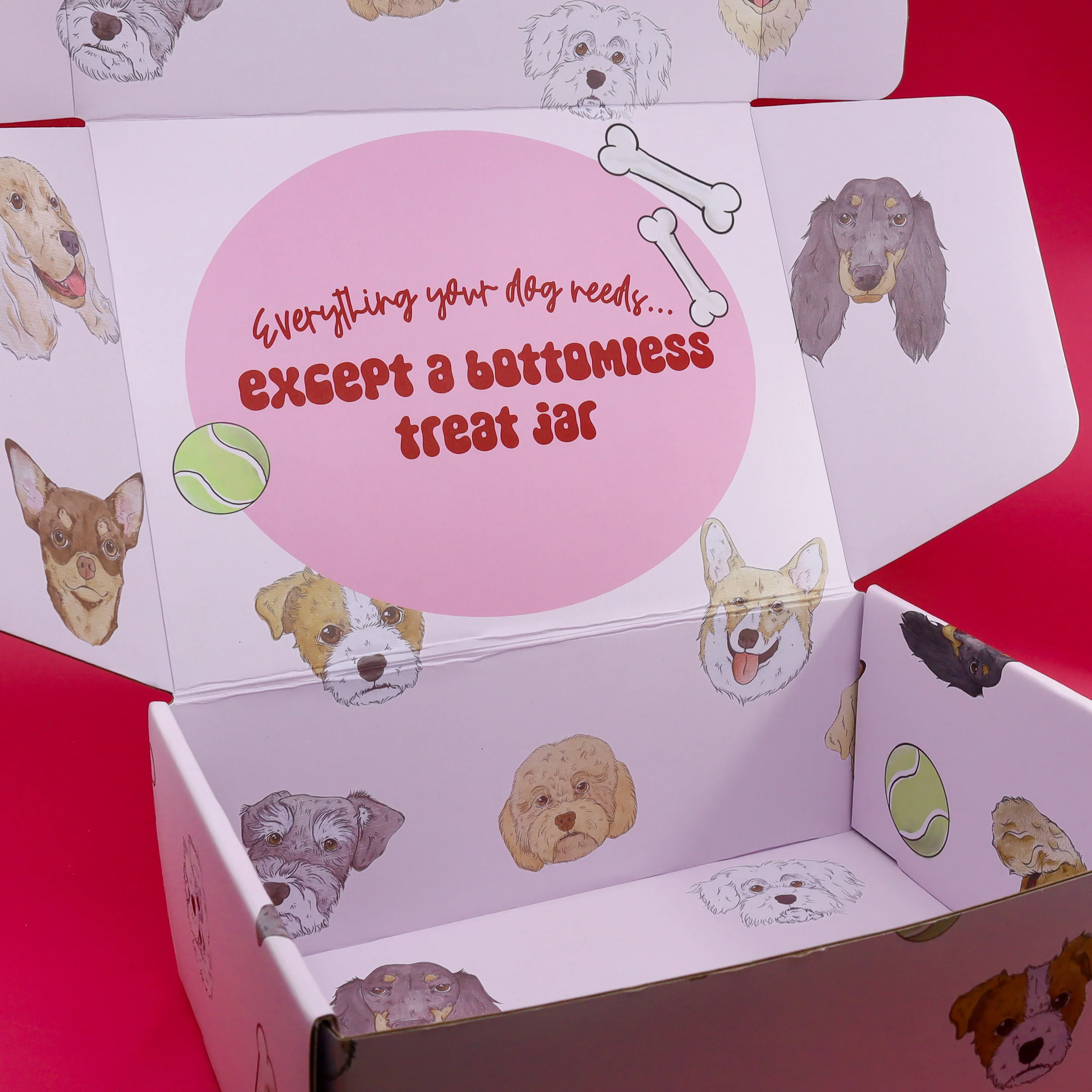 The Dog Essentials Kit - Image 8