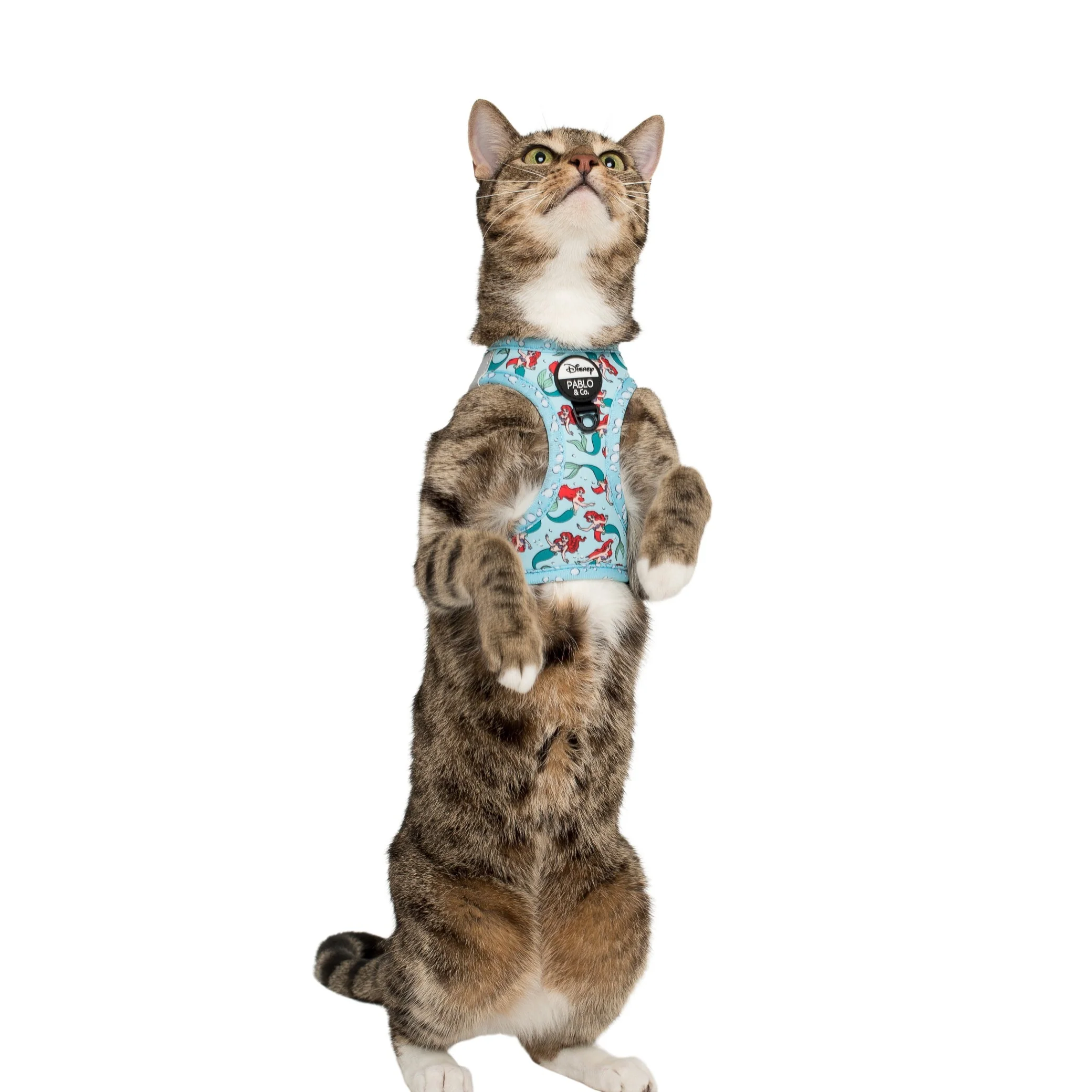 The Little Mermaid - Ariel: Step In Cat Harness - Image 5