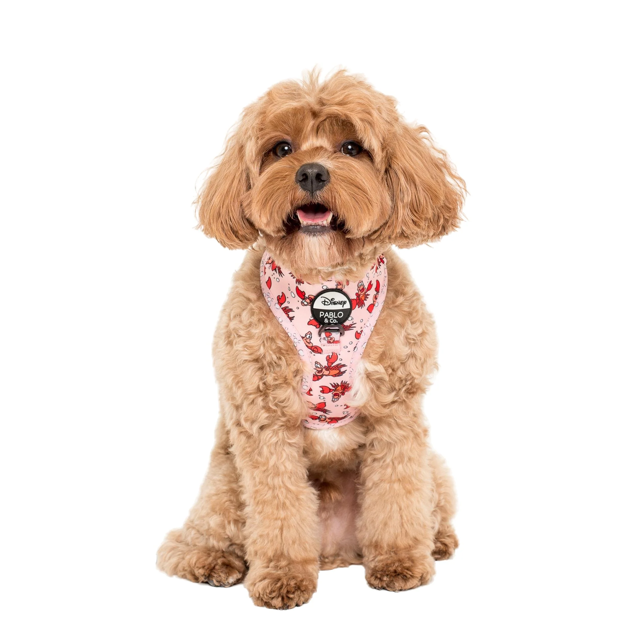 The Little Mermaid - Sebastian: Adjustable Harness - Image 3