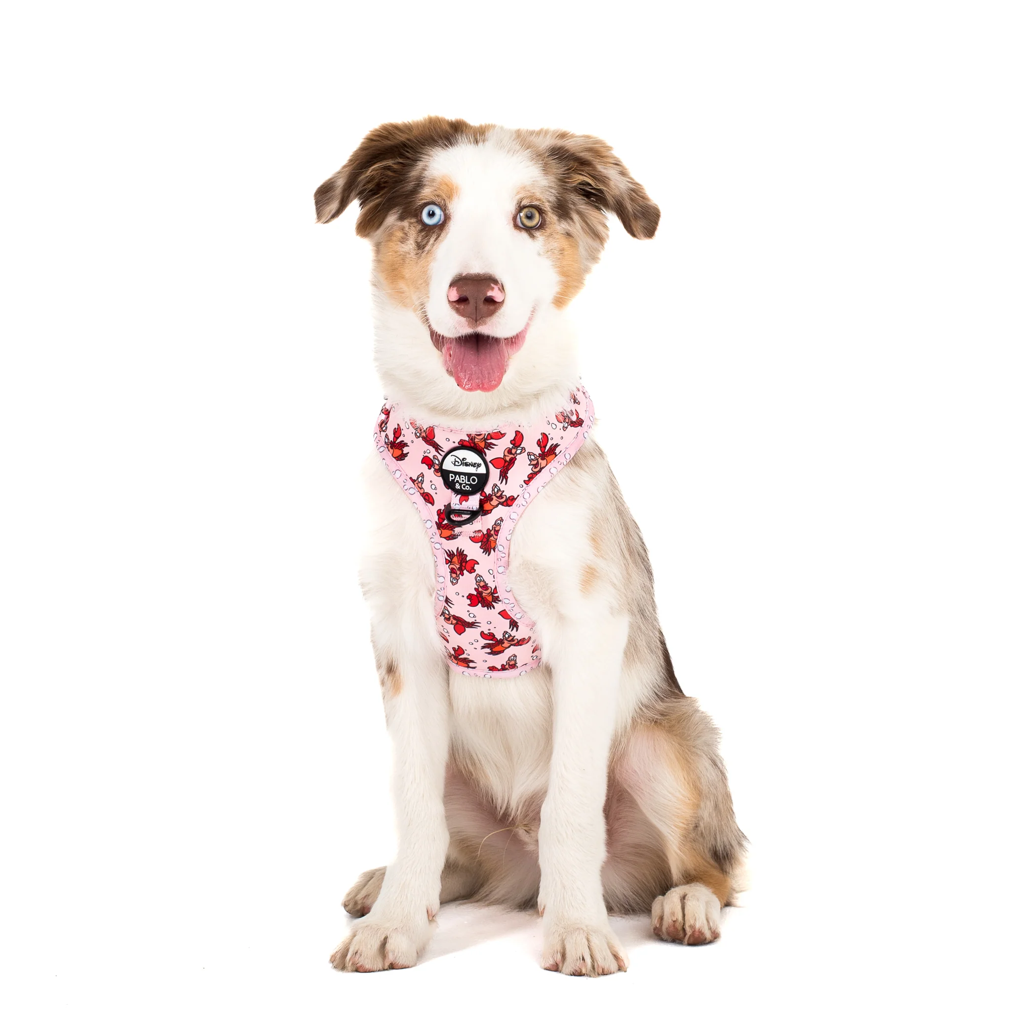 The Little Mermaid - Sebastian: Adjustable Harness - Image 5