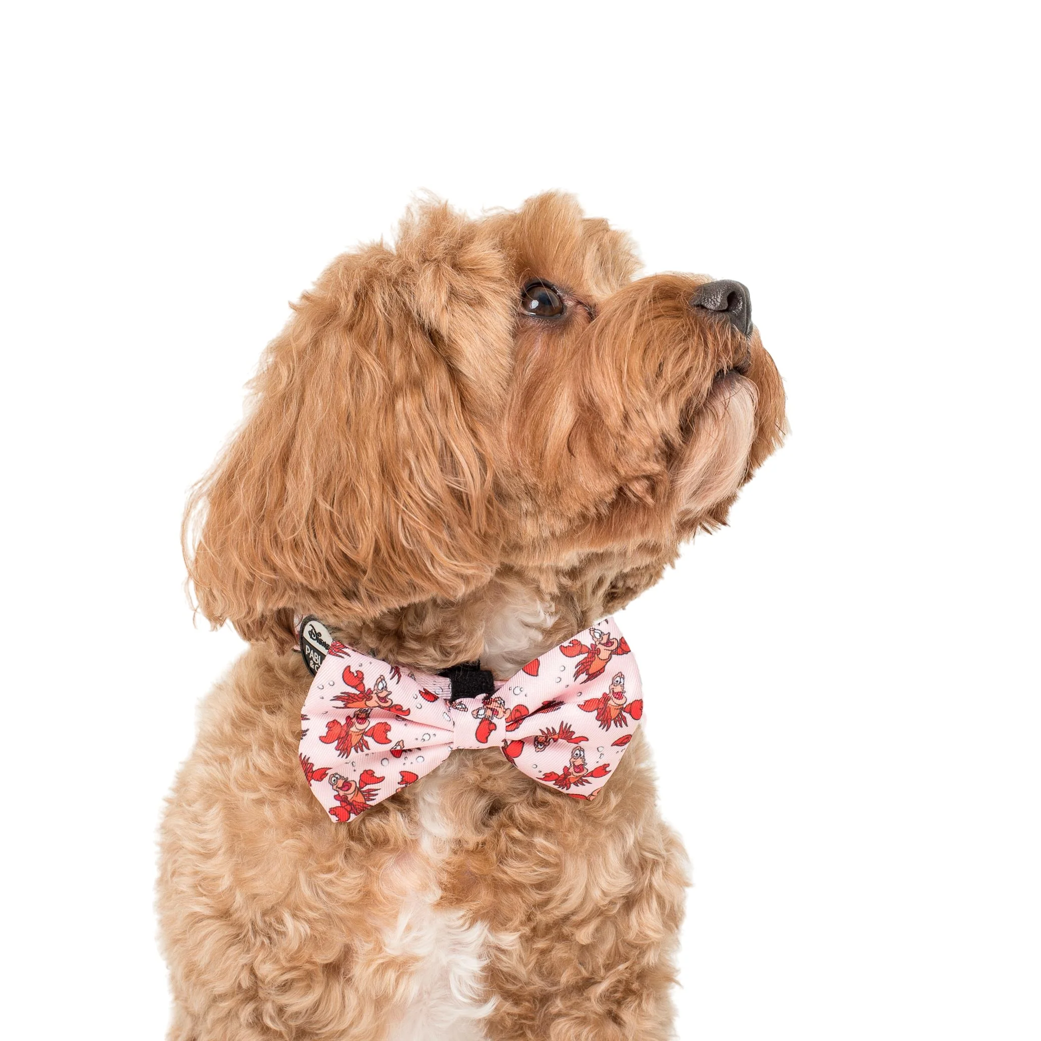 The Little Mermaid - Sebastian: Bow Tie - Image 2
