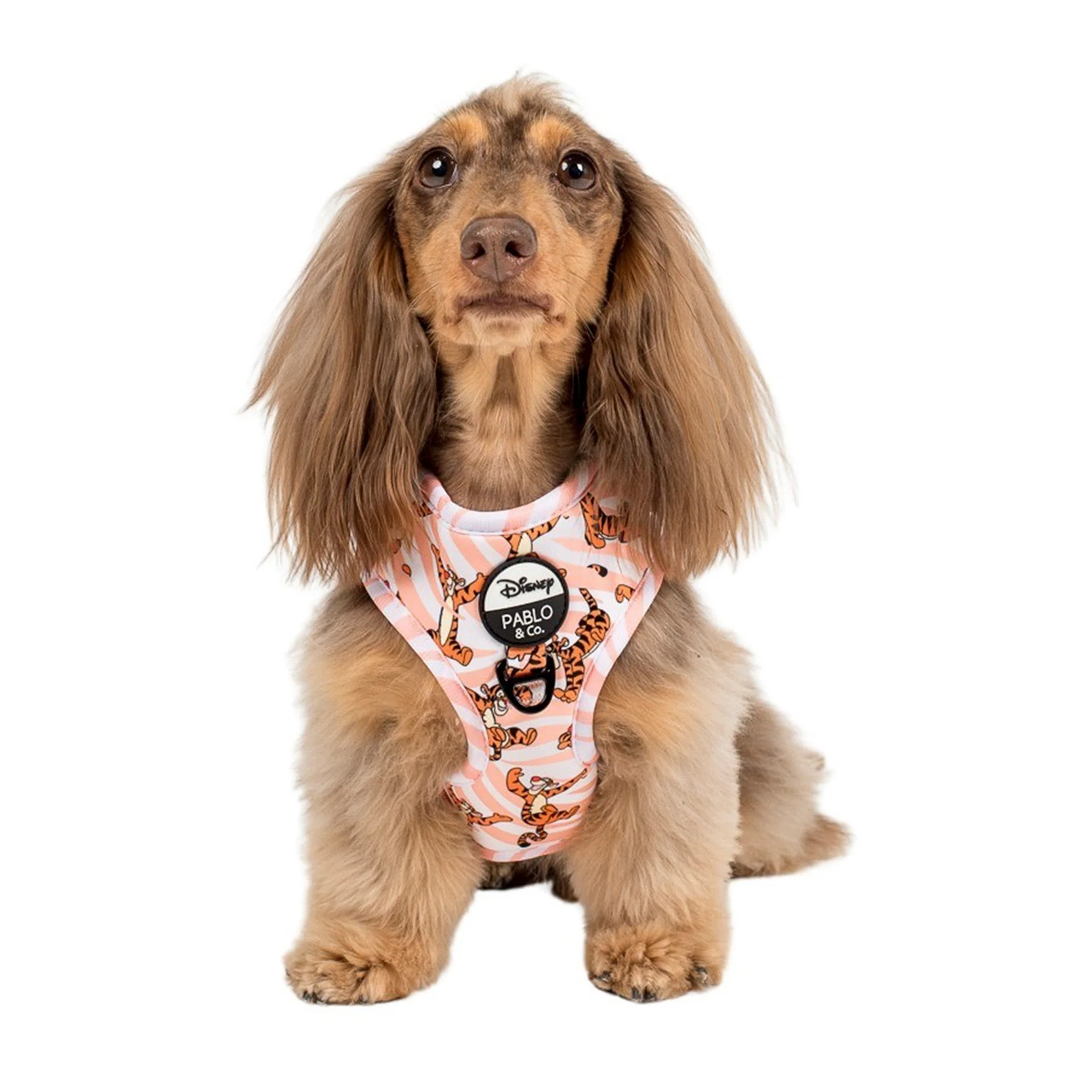 The One of a Kind Tigger: Adjustable Harness - Image 2