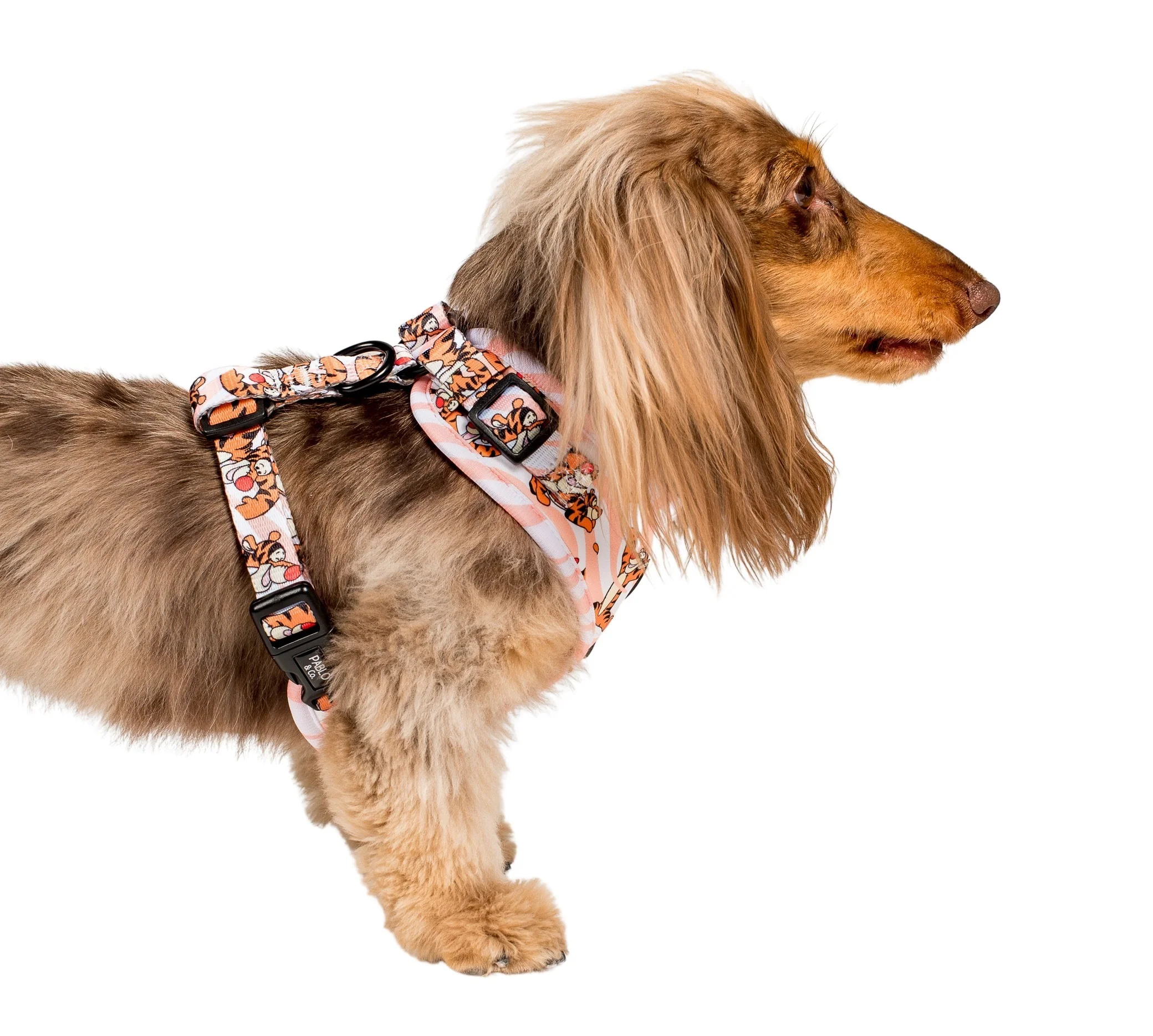 The One of a Kind Tigger: Adjustable Harness - Image 3