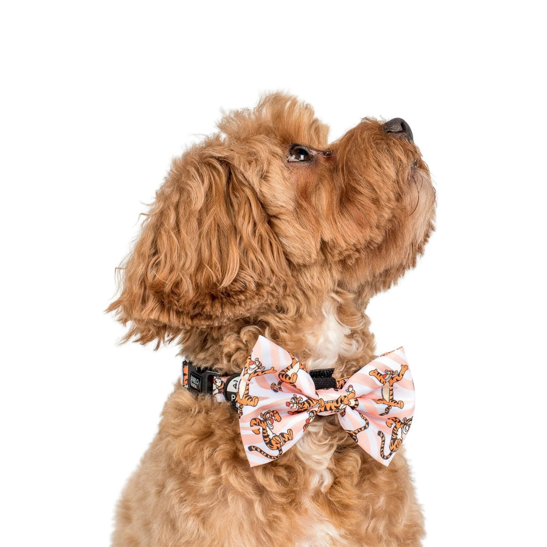 The One of a Kind Tigger: Bow Tie - Image 2