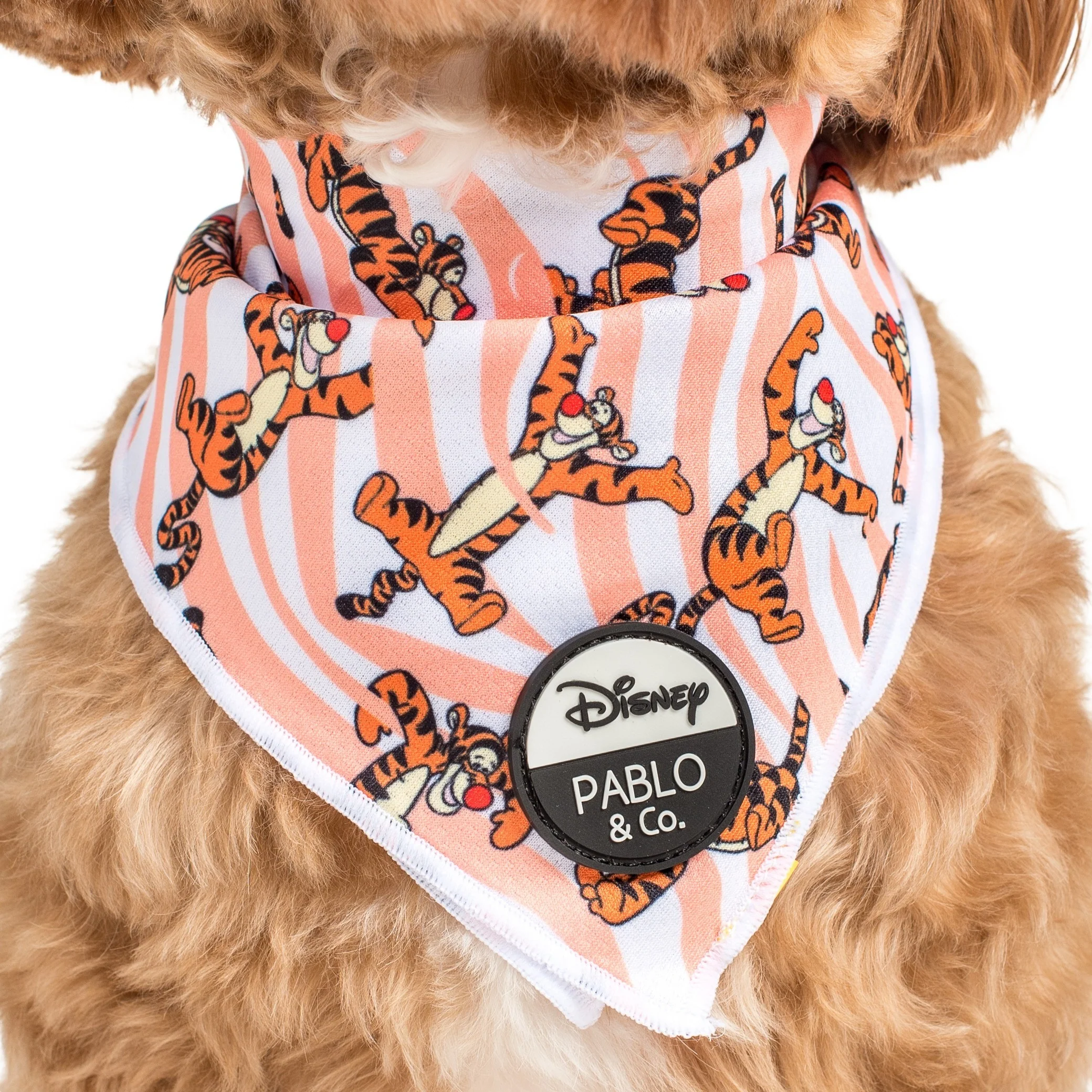 The One of a Kind Tigger: Dog Bandana - Image 2