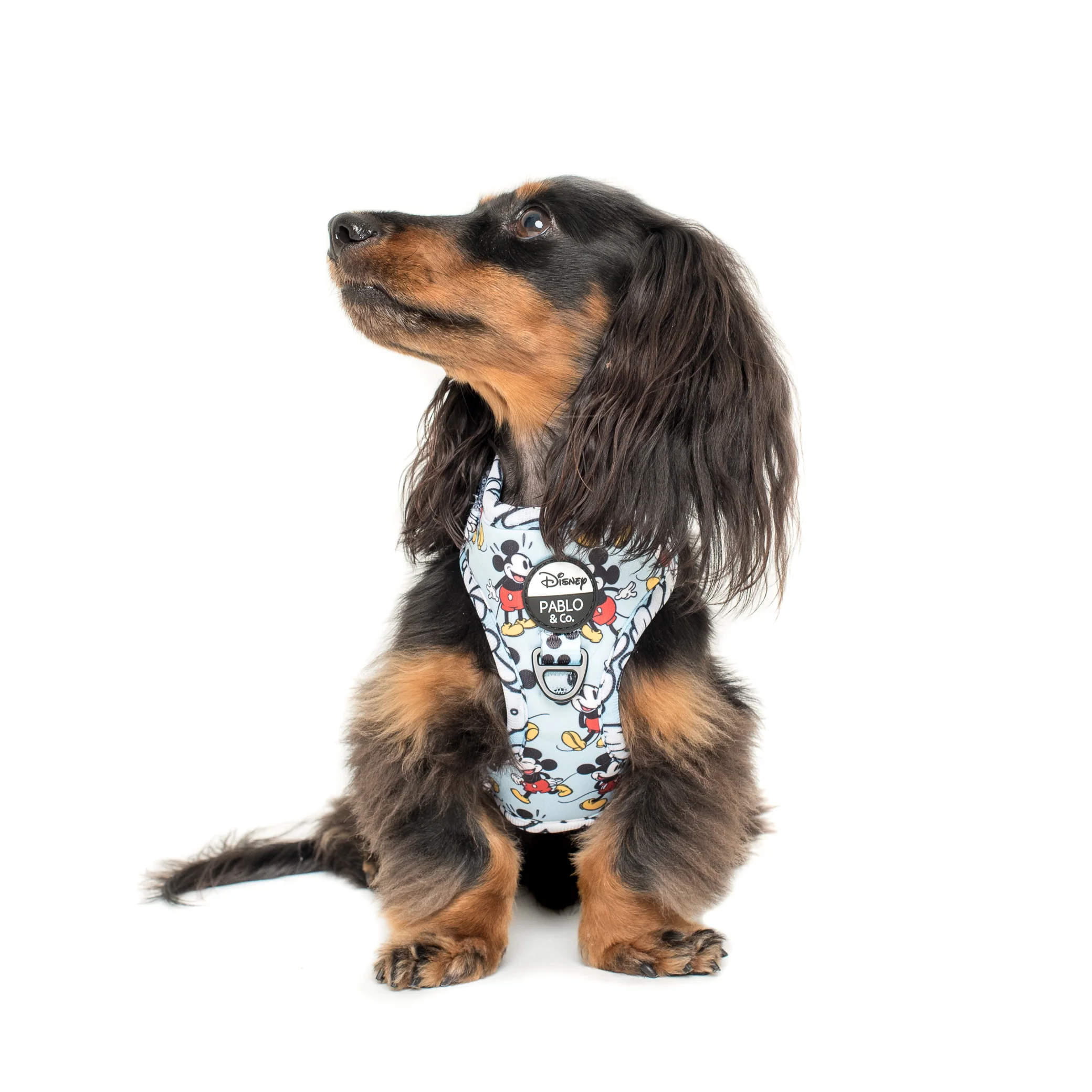 The Original Mickey Mouse: Adjustable Harness - Image 4