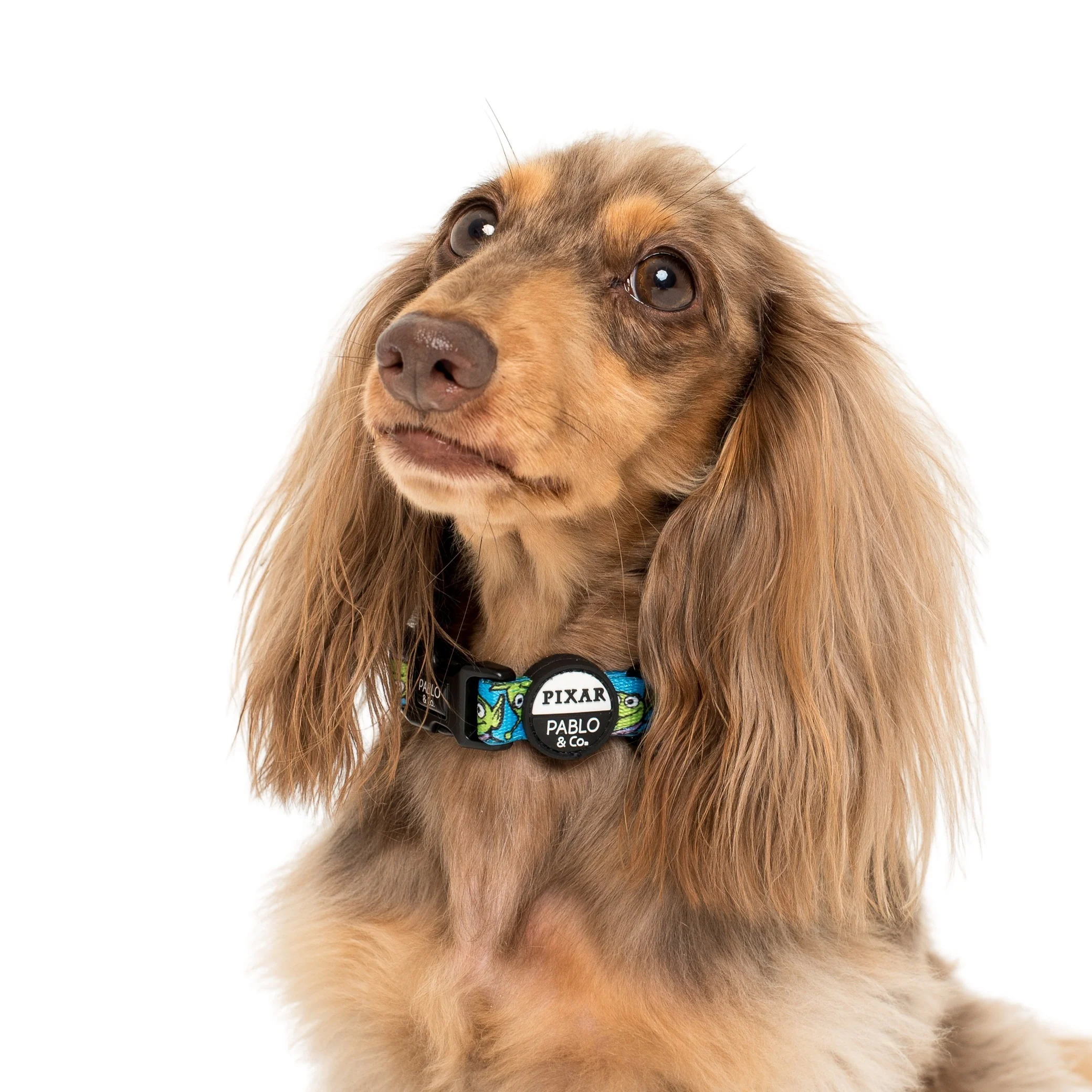 Toy Story - Aliens: Dog Collar - Image 2