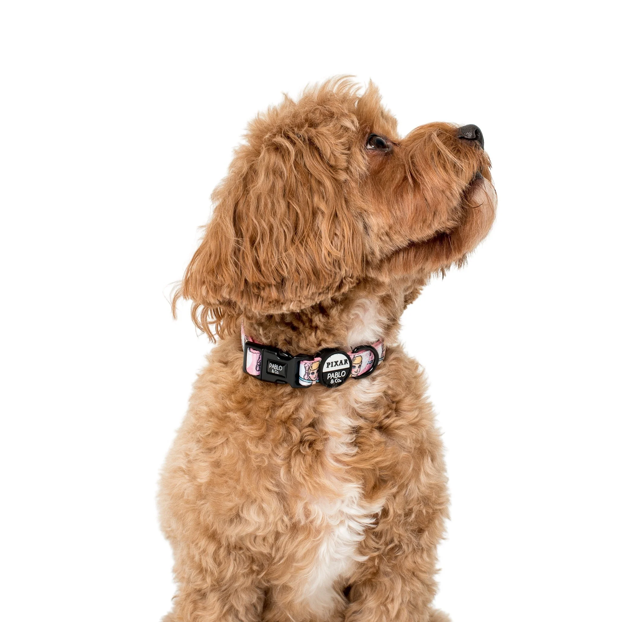 Toy Story - Bo Peep: Dog Collar - Image 2
