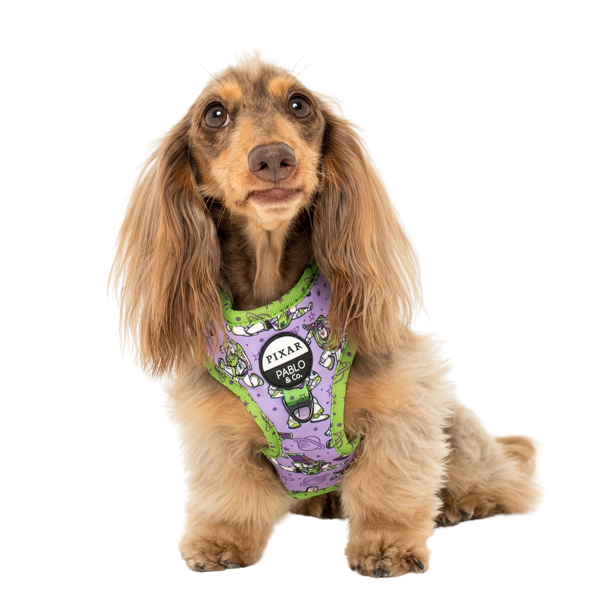 Toy Story - Buzz Lightyear: Adjustable Harness - Image 5
