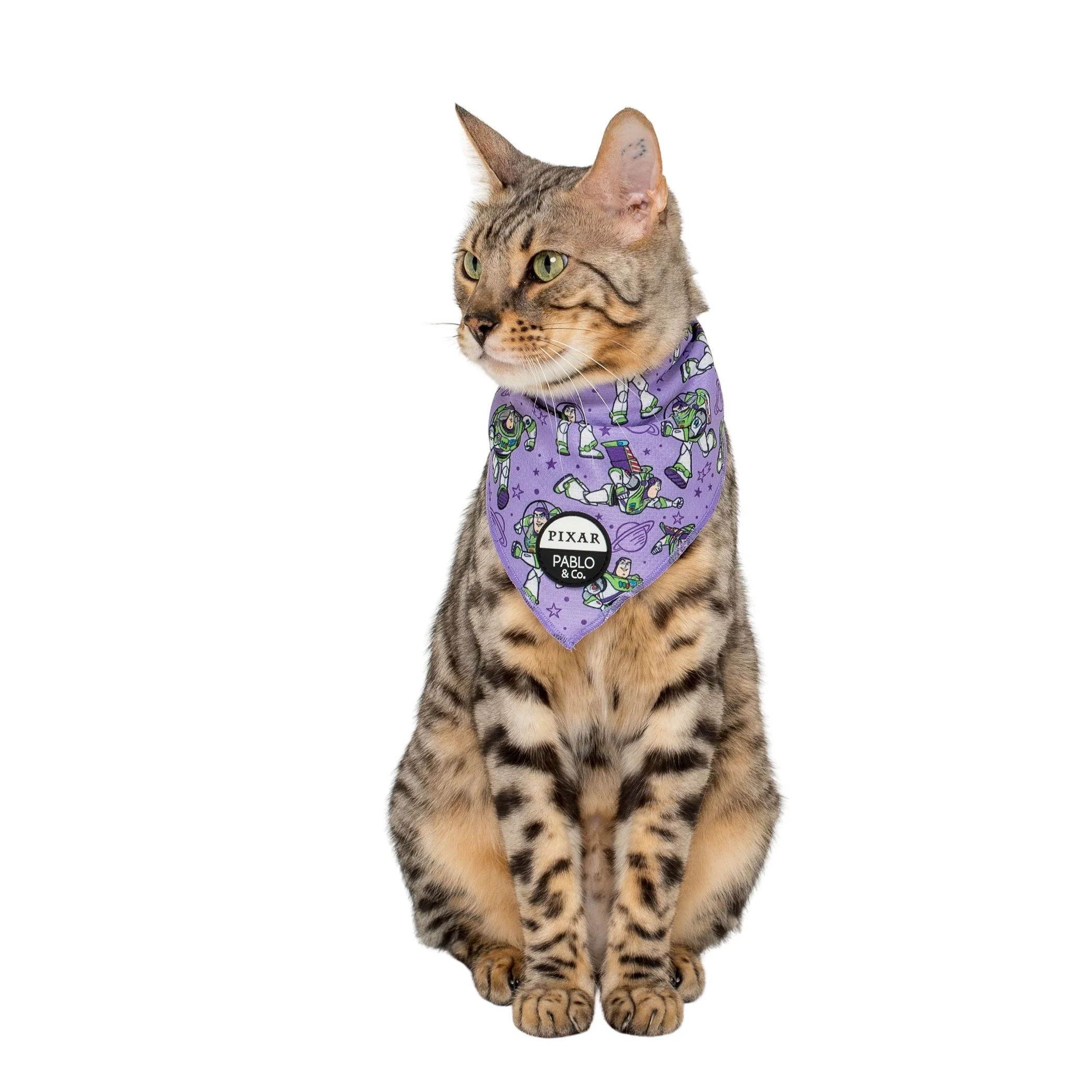 Toy Story - Buzz Lightyear: Cat Bandana - Image 3