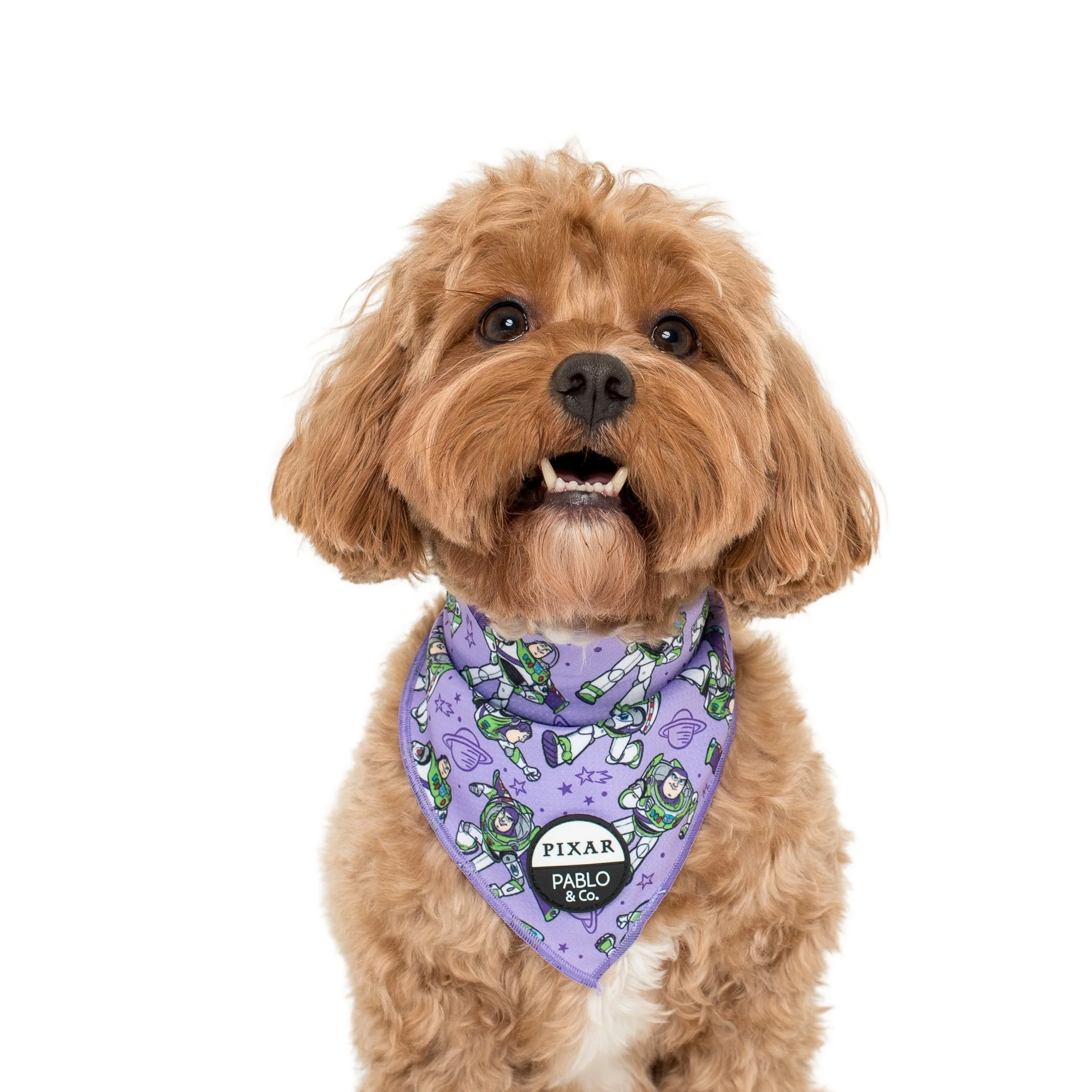 Toy Story - Buzz Lightyear: Dog Bandana - Image 2