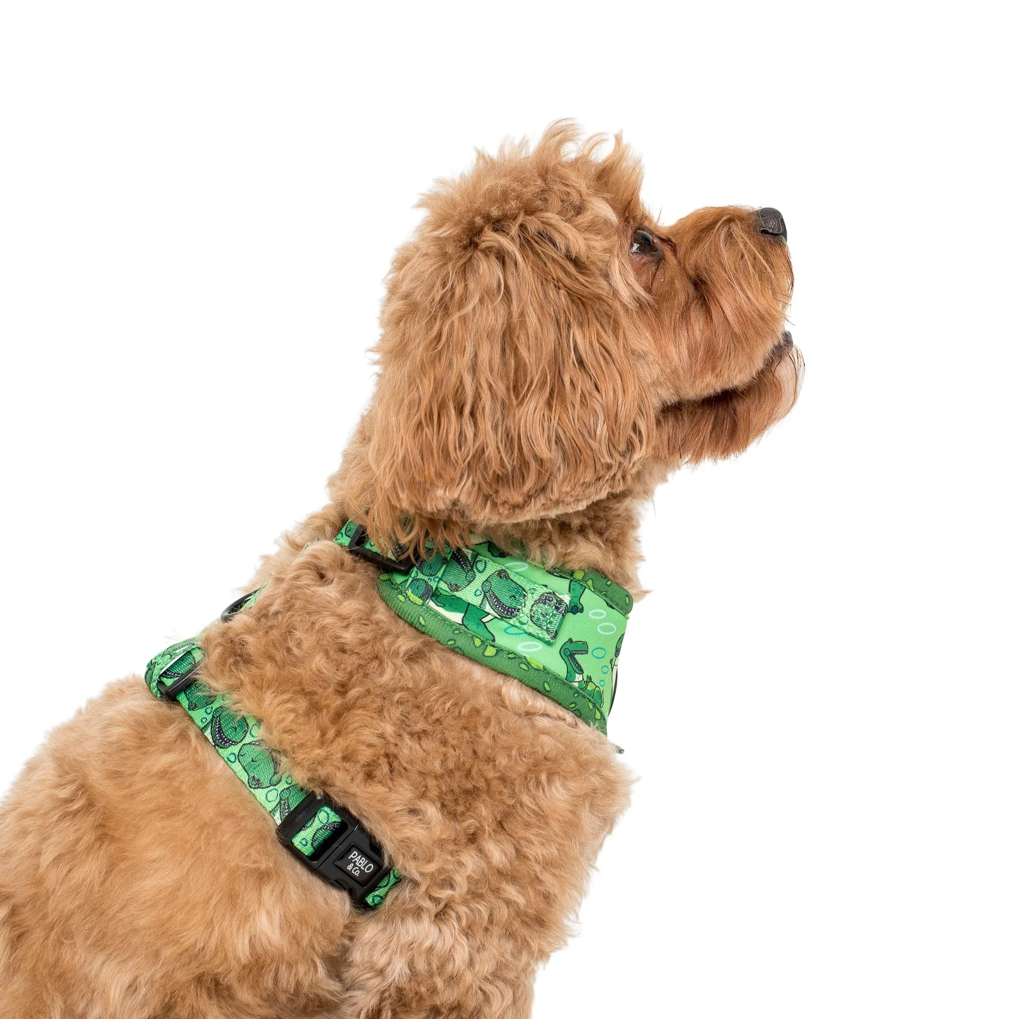 Toy Story - Rex: Adjustable Harness - Image 3