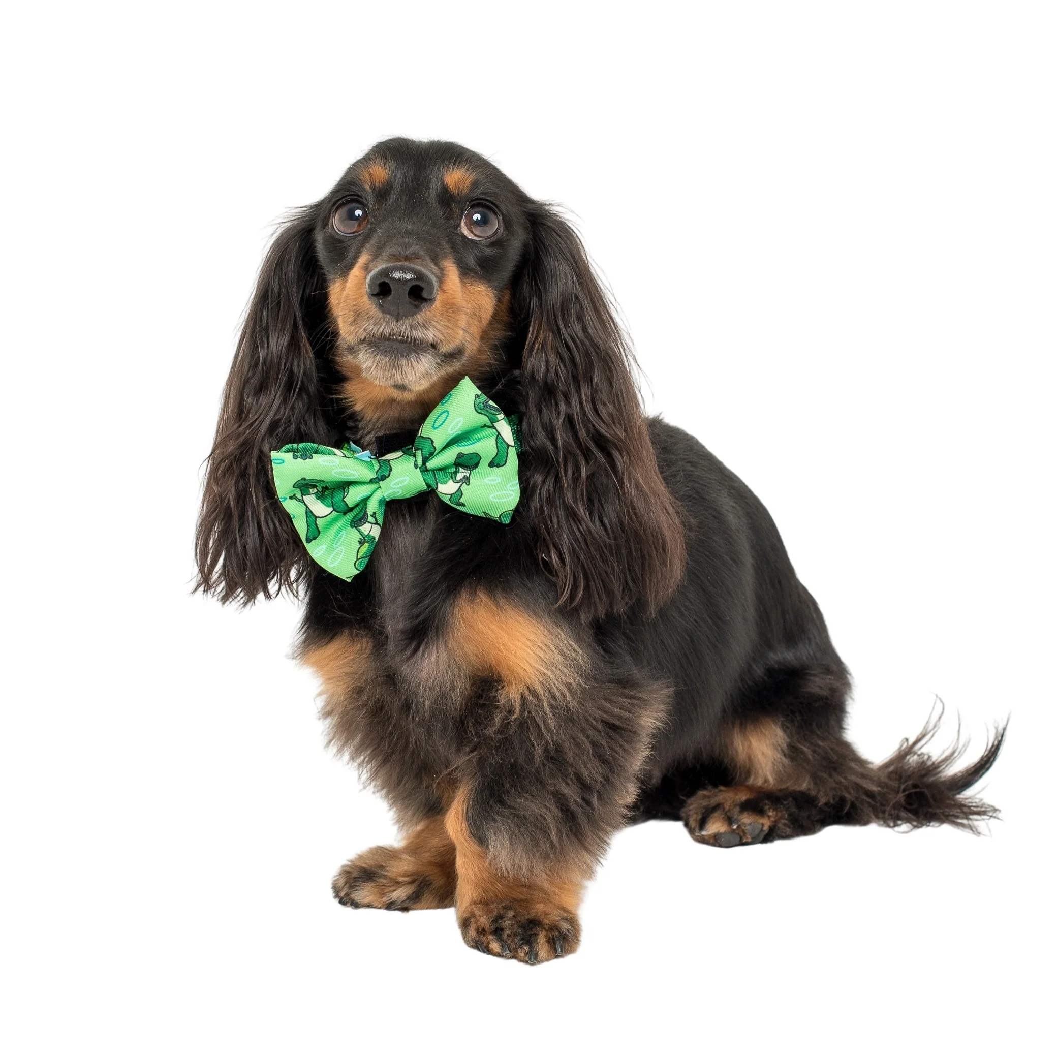 Toy Story - Rex: Bow Tie - Image 2