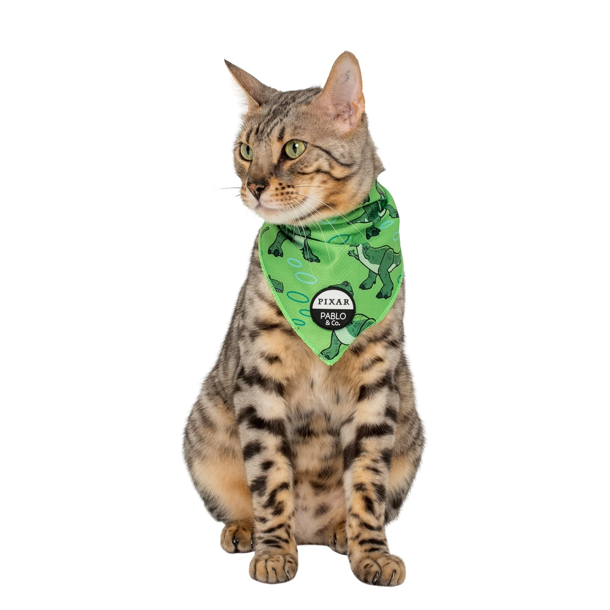 Toy Story - Rex: Cat Bandana - Image 2