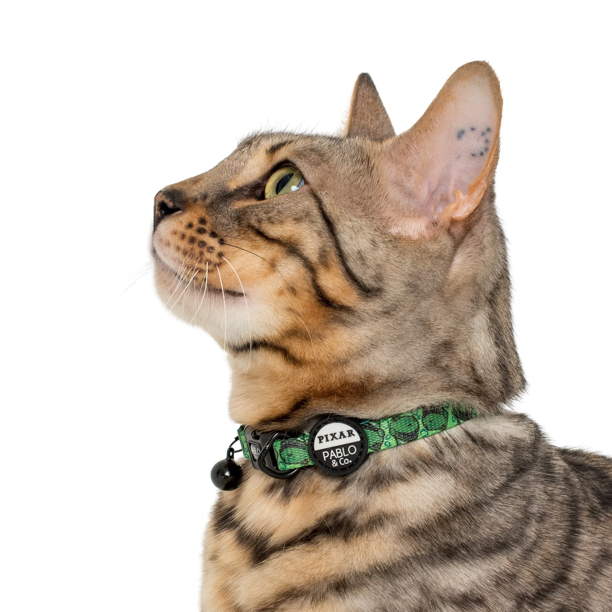 Toy Story - Rex: Cat Collar