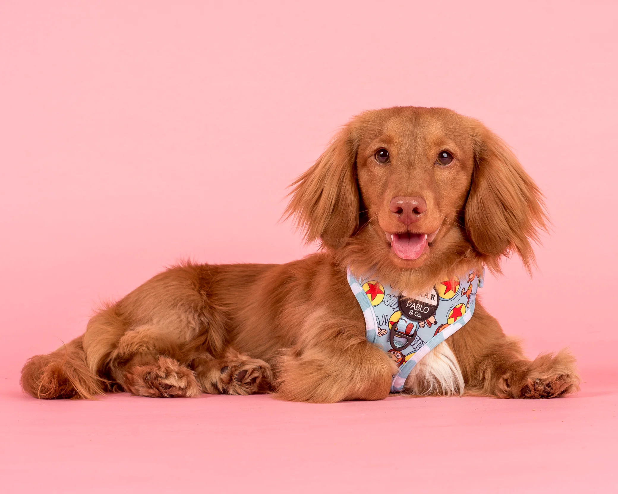 Toy Story - Slinky Dog: Adjustable Harness - Image 3