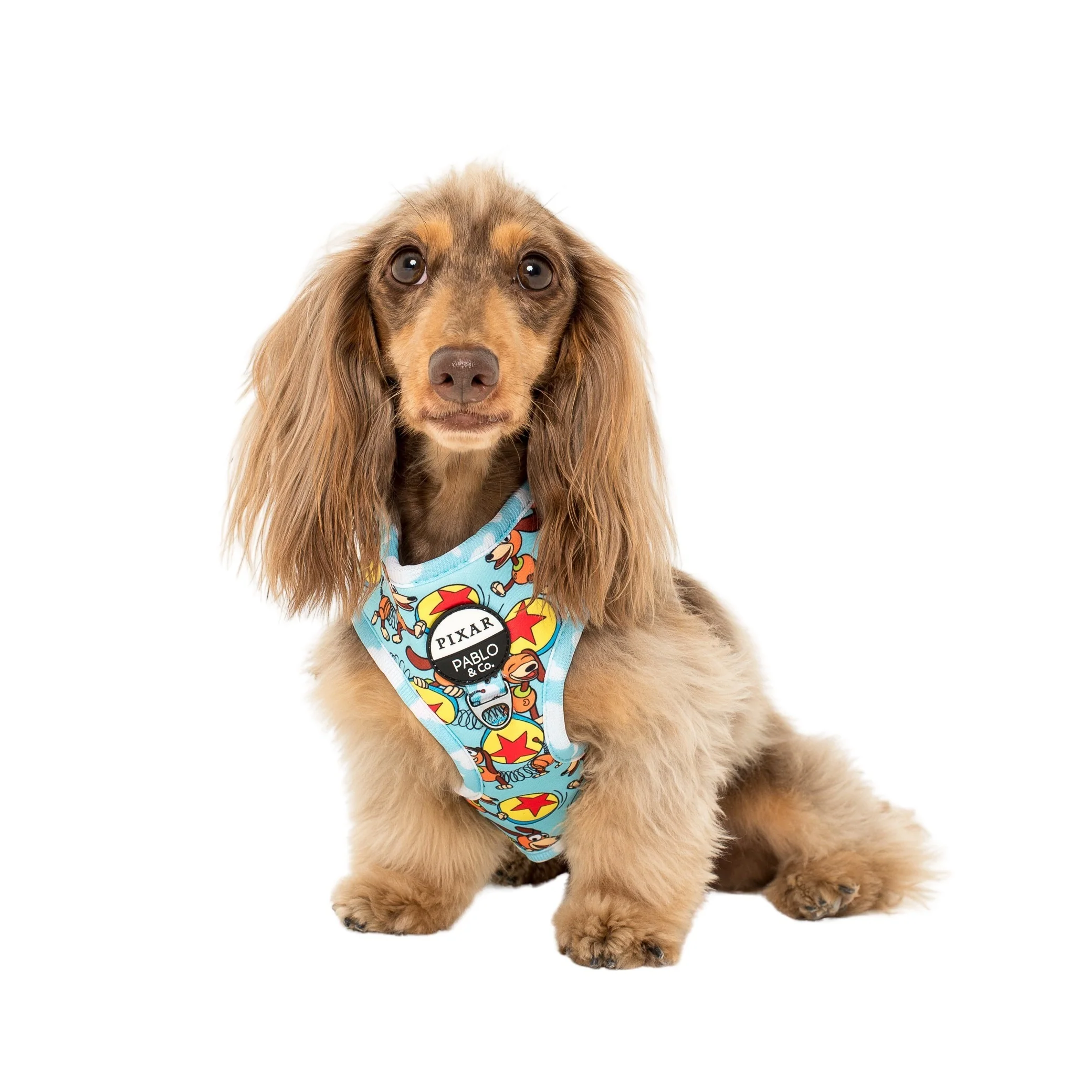 Toy Story - Slinky Dog: Adjustable Harness - Image 5