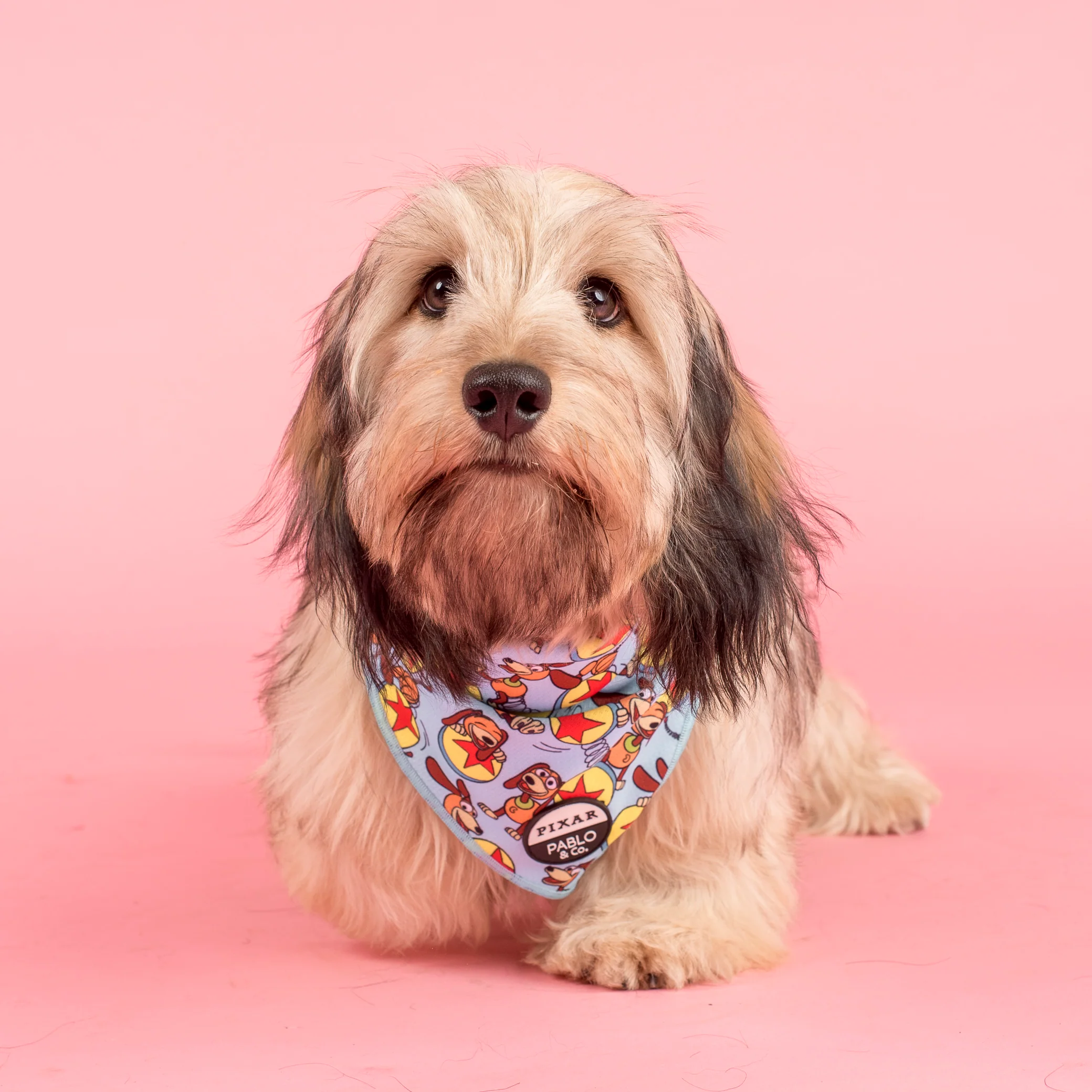 Toy Story - Slinky Dog: Dog Bandana - Image 3