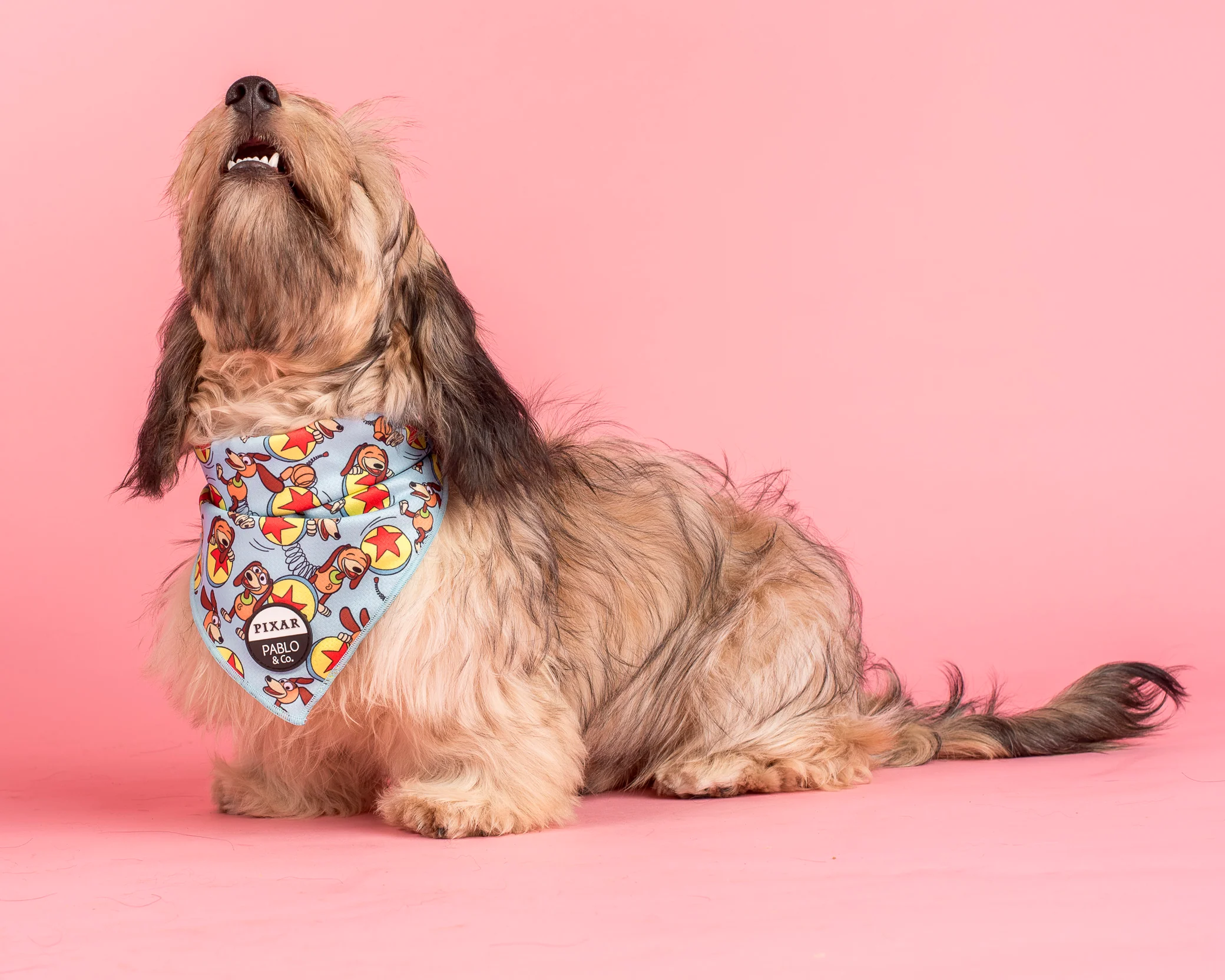 Toy Story - Slinky Dog: Dog Bandana - Image 4