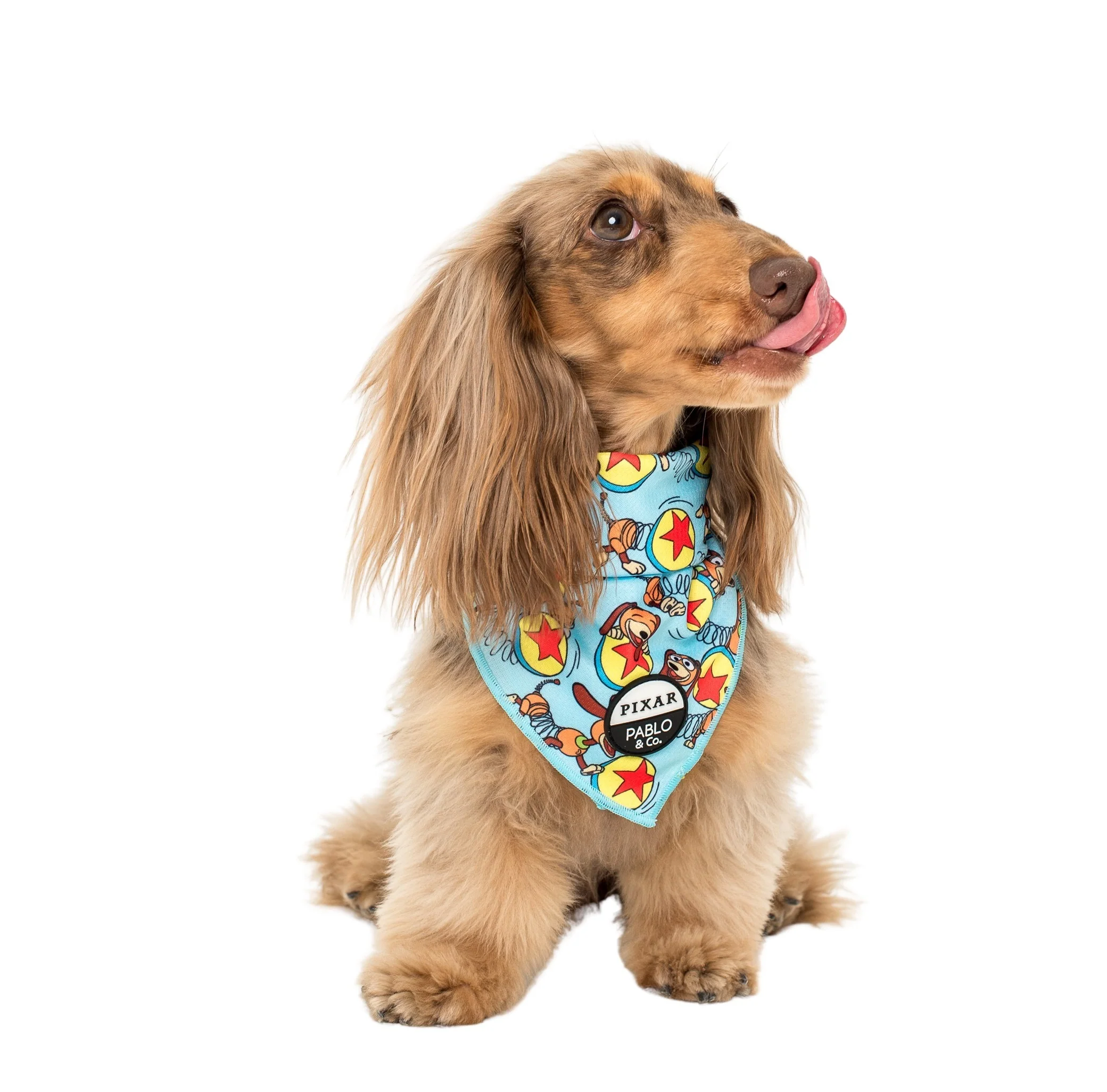 Toy Story - Slinky Dog: Dog Bandana - Image 6