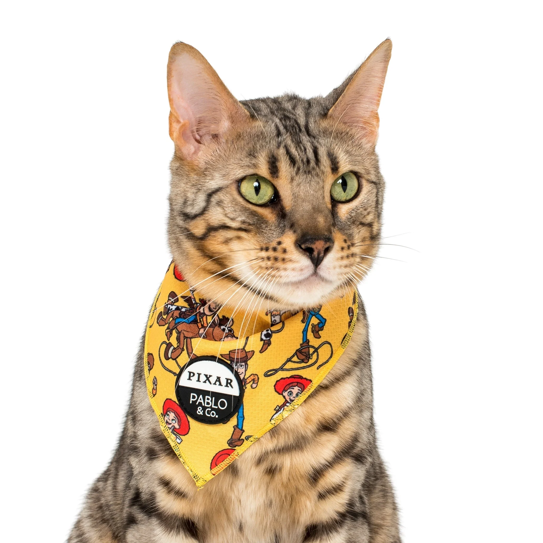 Toy Story - Woody's Roundup: Cat Bandana - Image 2