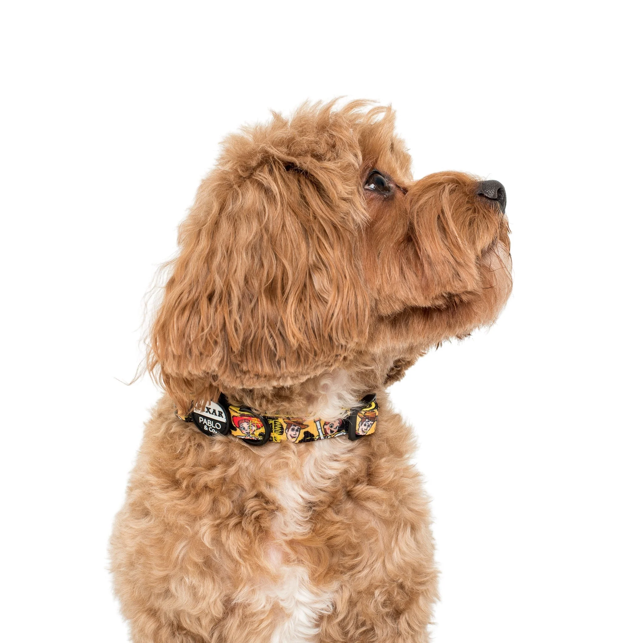Toy Story - Woody's Roundup: Dog Collar - Image 2