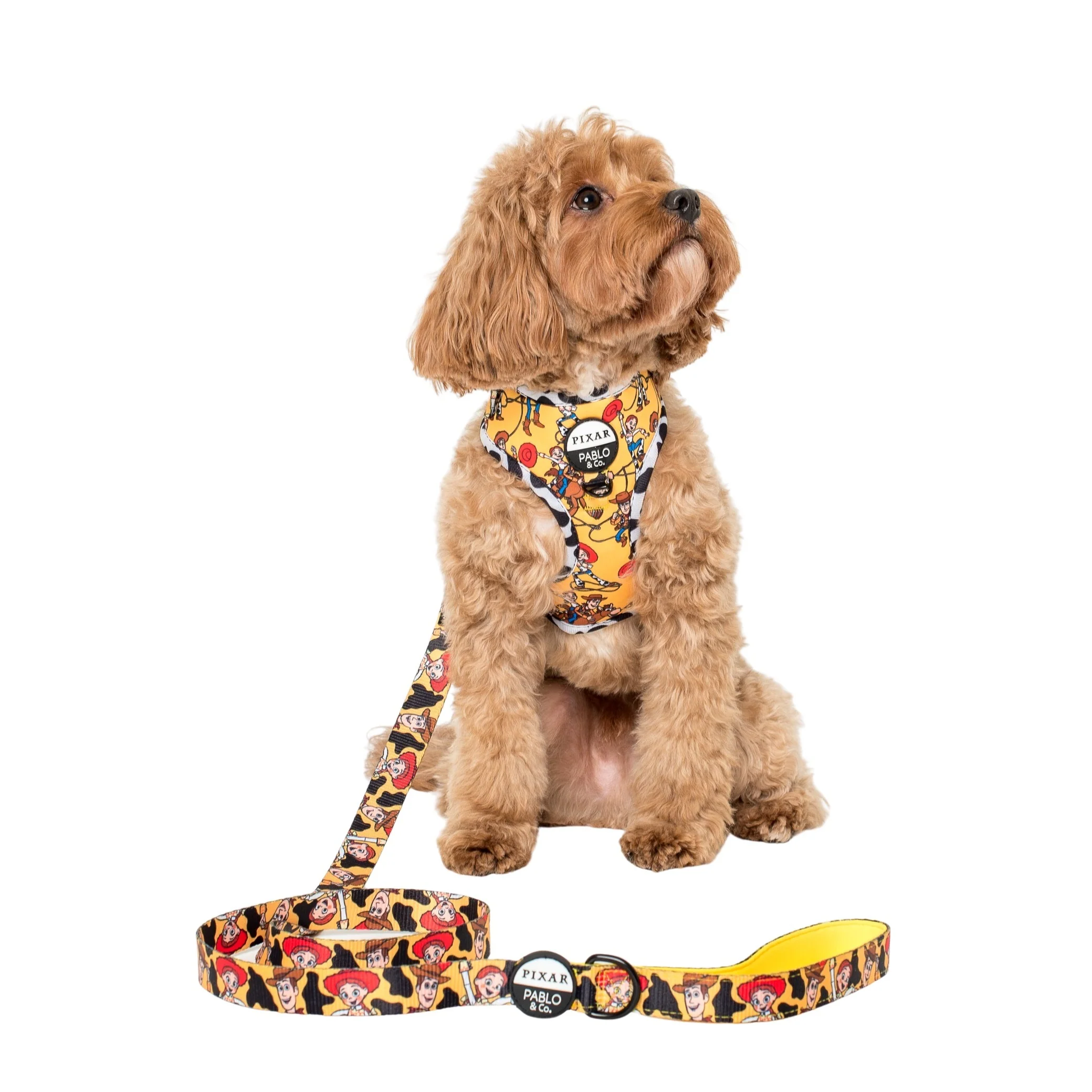 Toy Story - Woody's Roundup: Dog Leash - Image 3