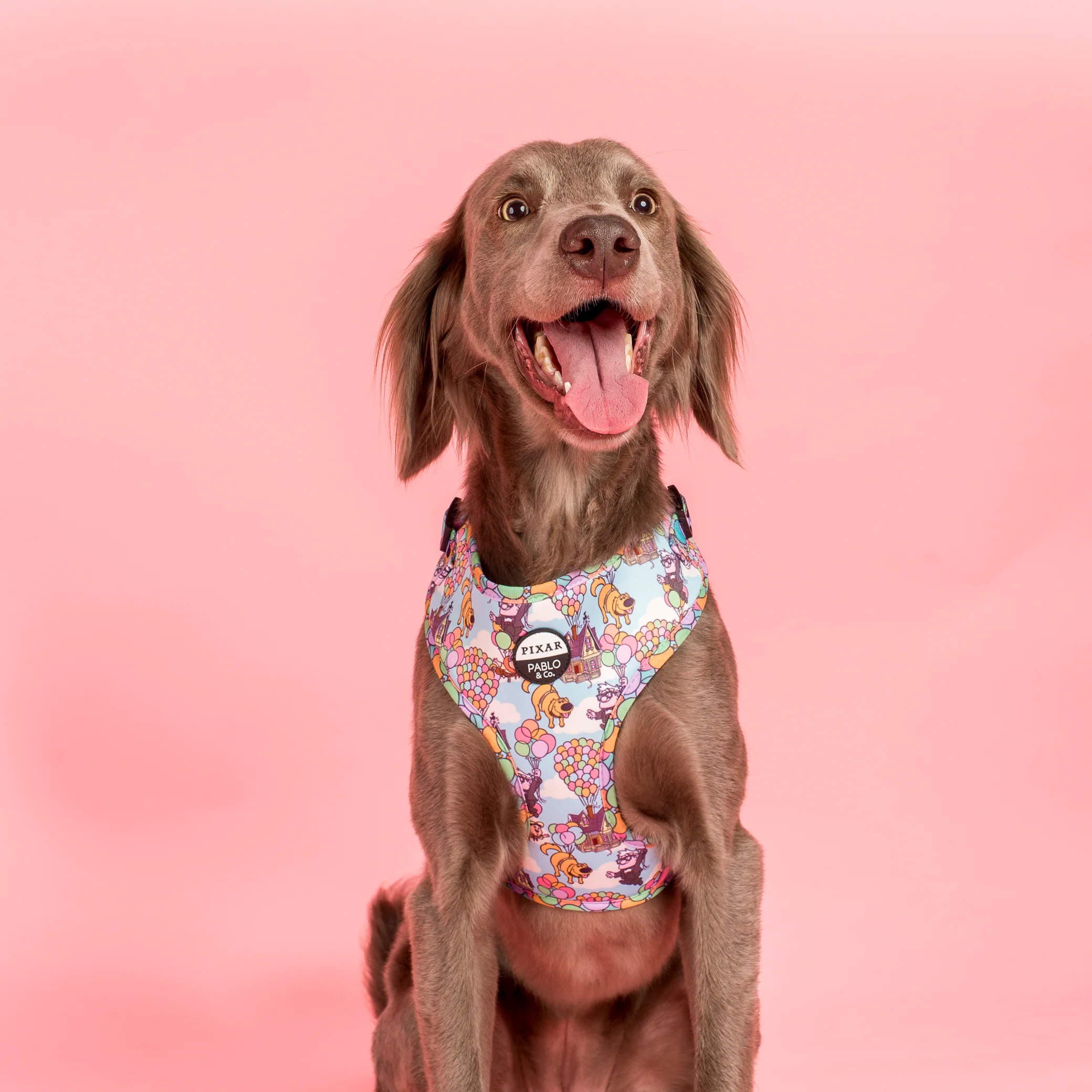 Up: Adjustable Harness - Image 4