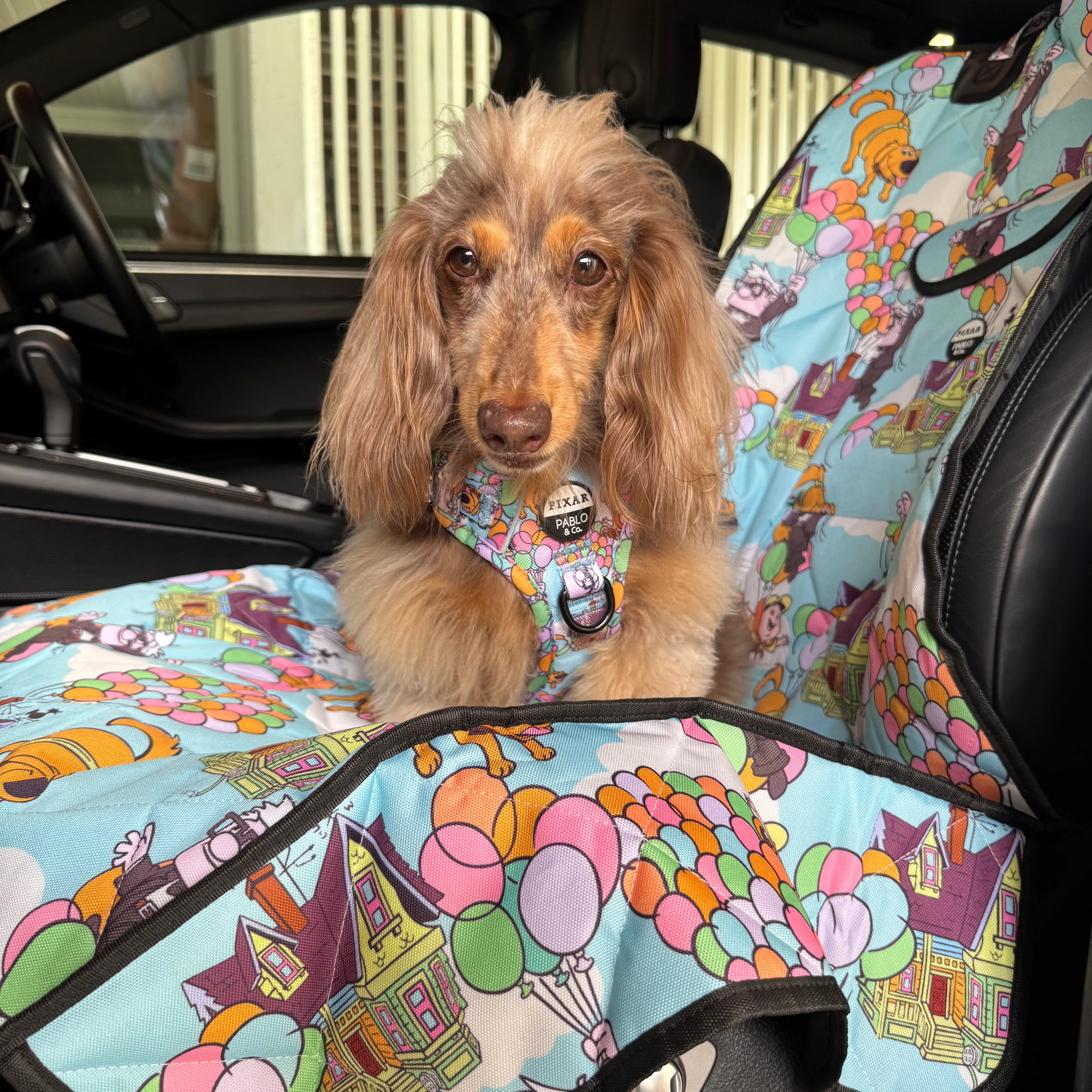 Up: Single Car Seat Cover - Image 4