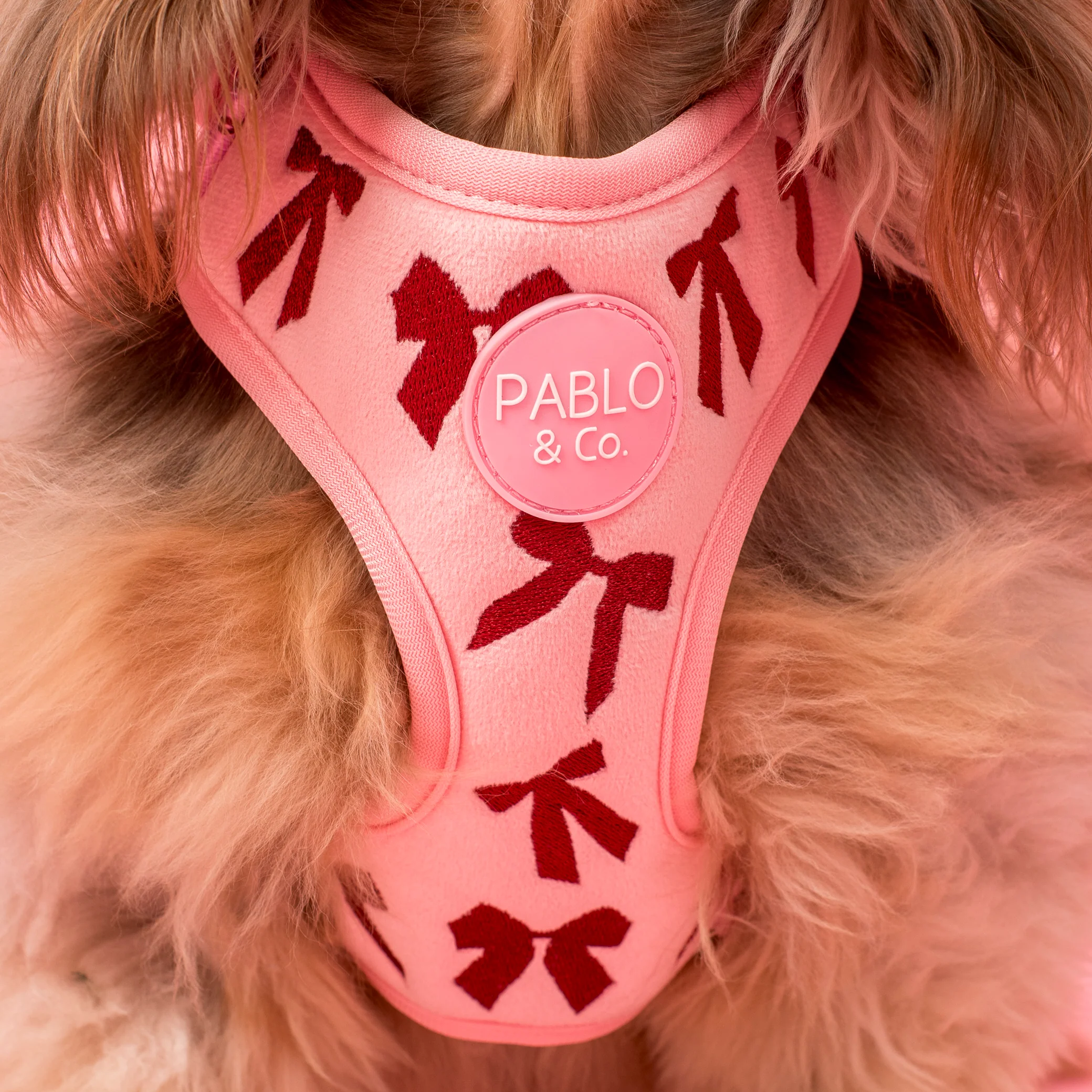 Velvet Blush Bows: Adjustable Harness - Image 2